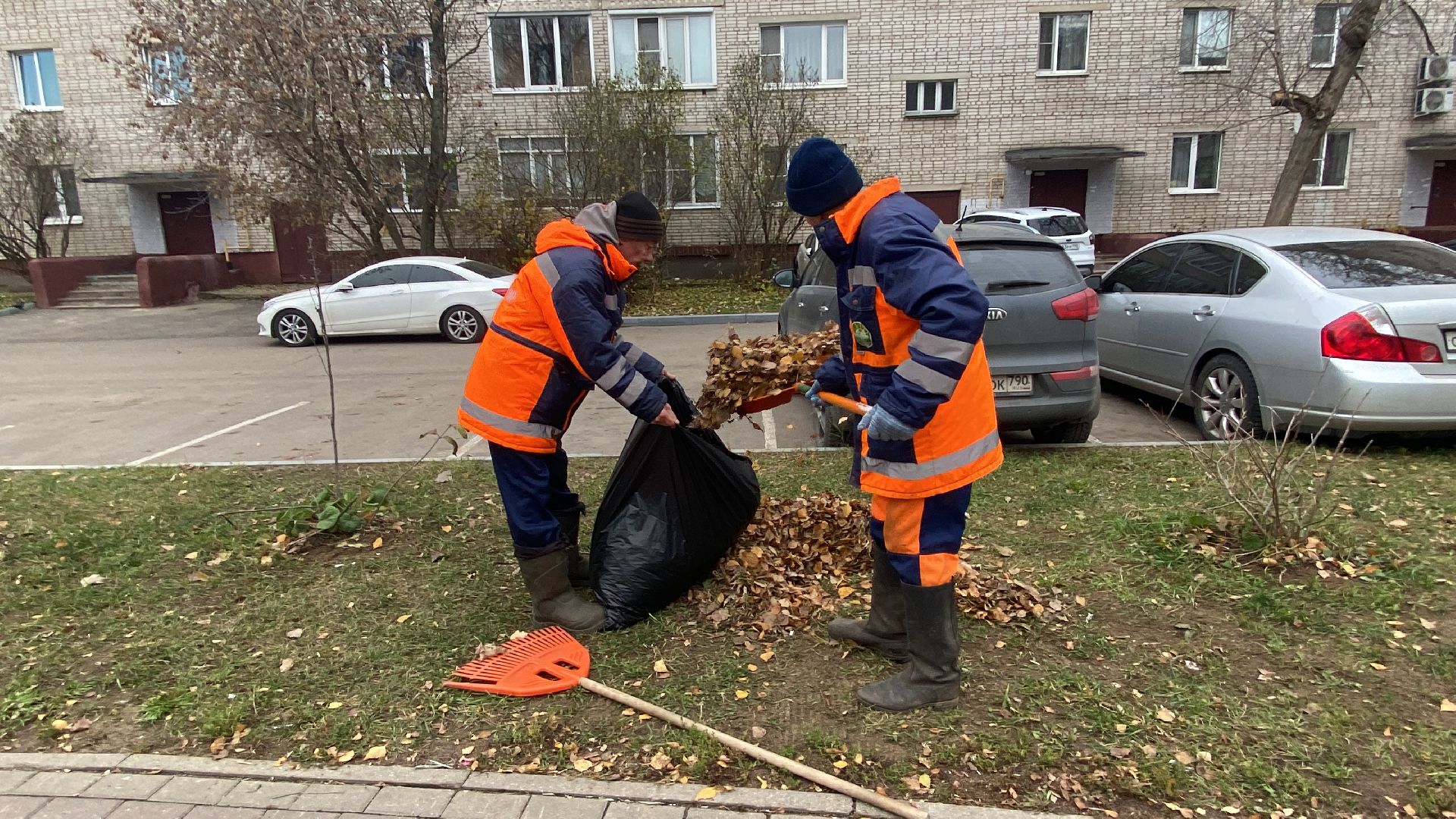 Листва, уборка двора, Уборка листьев, вертикалки,