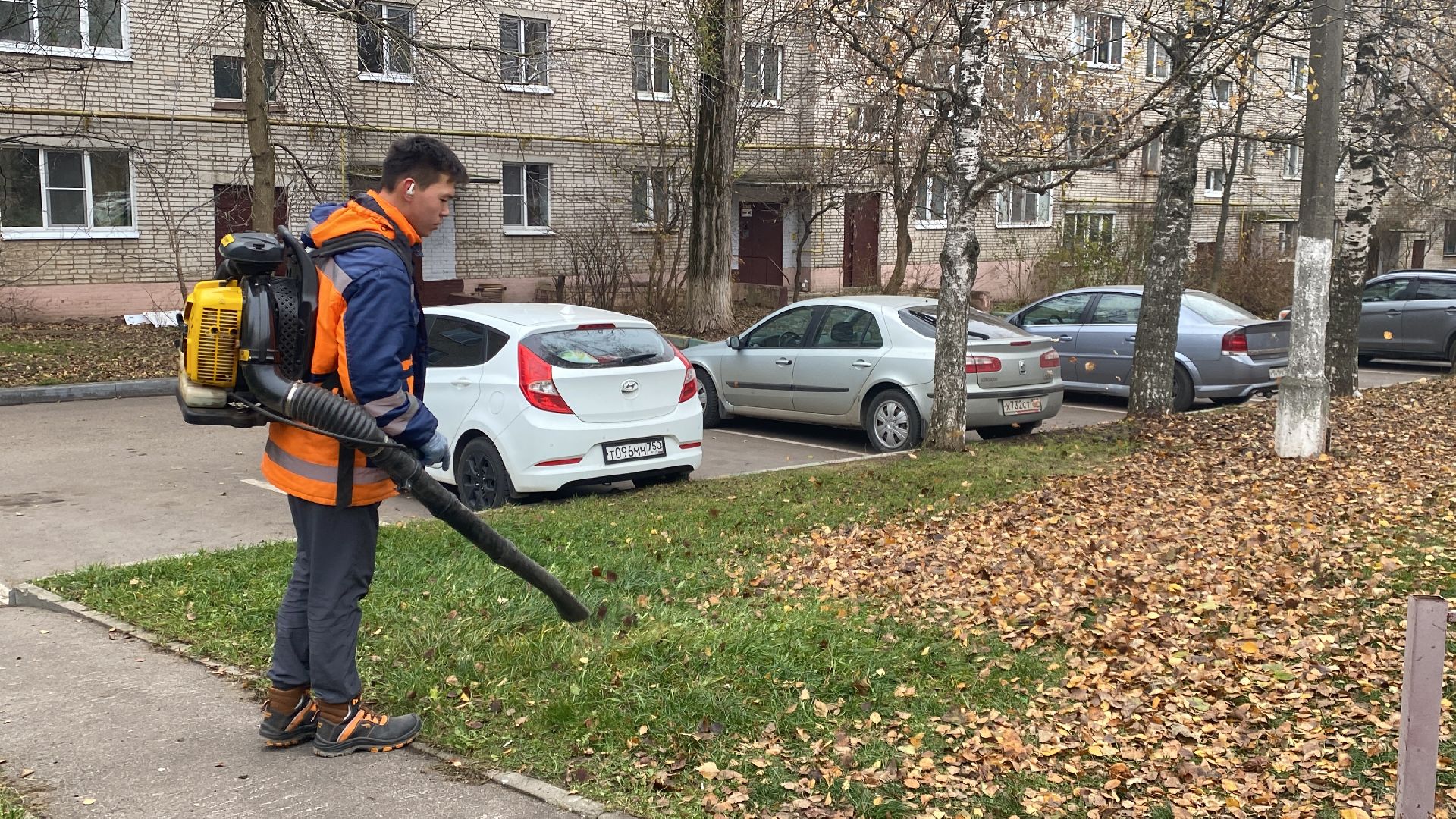 Листва, уборка двора, Уборка листьев, вертикалки,