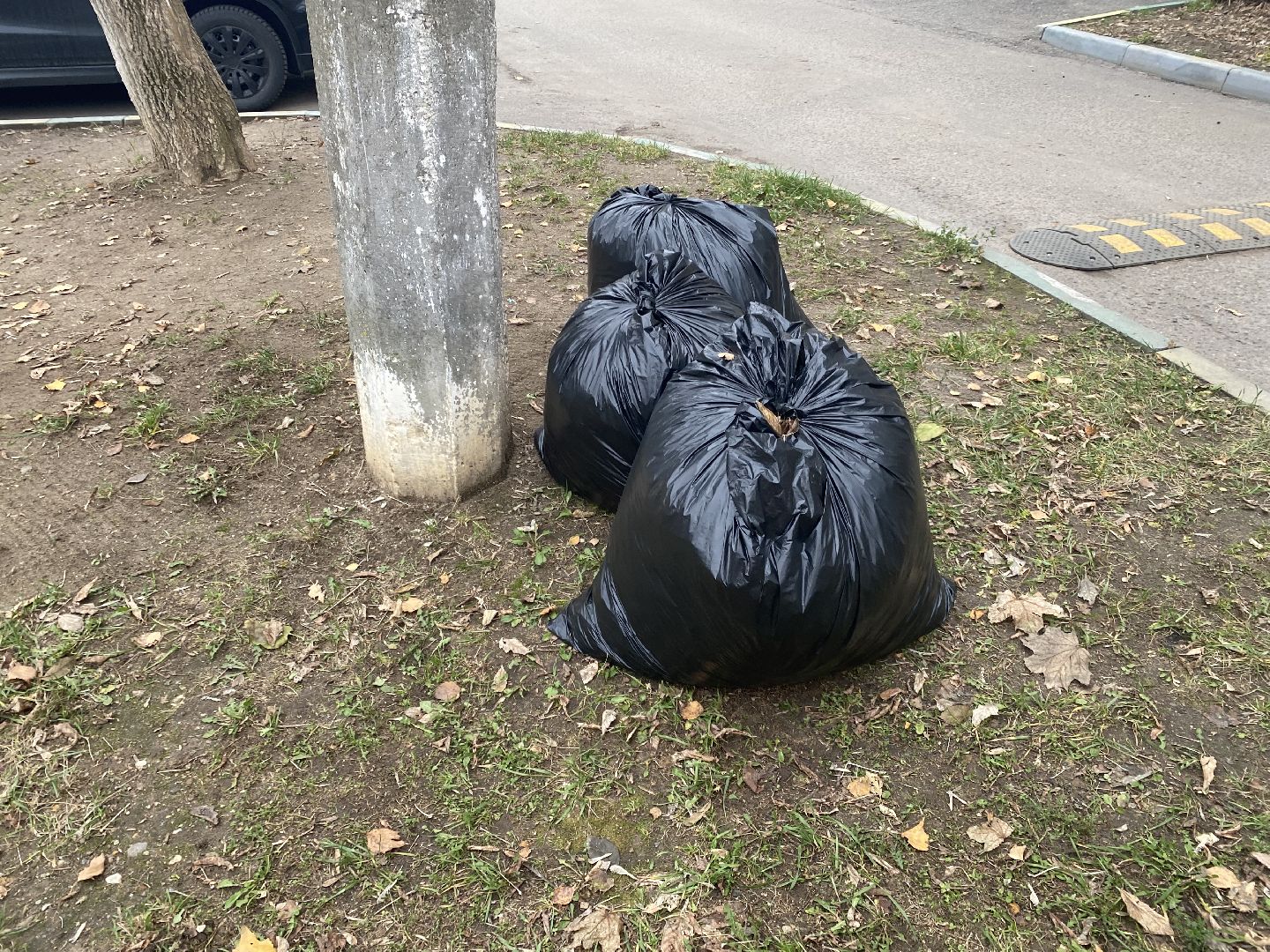 Листва, уборка двора, Уборка листьев, вертикалки,