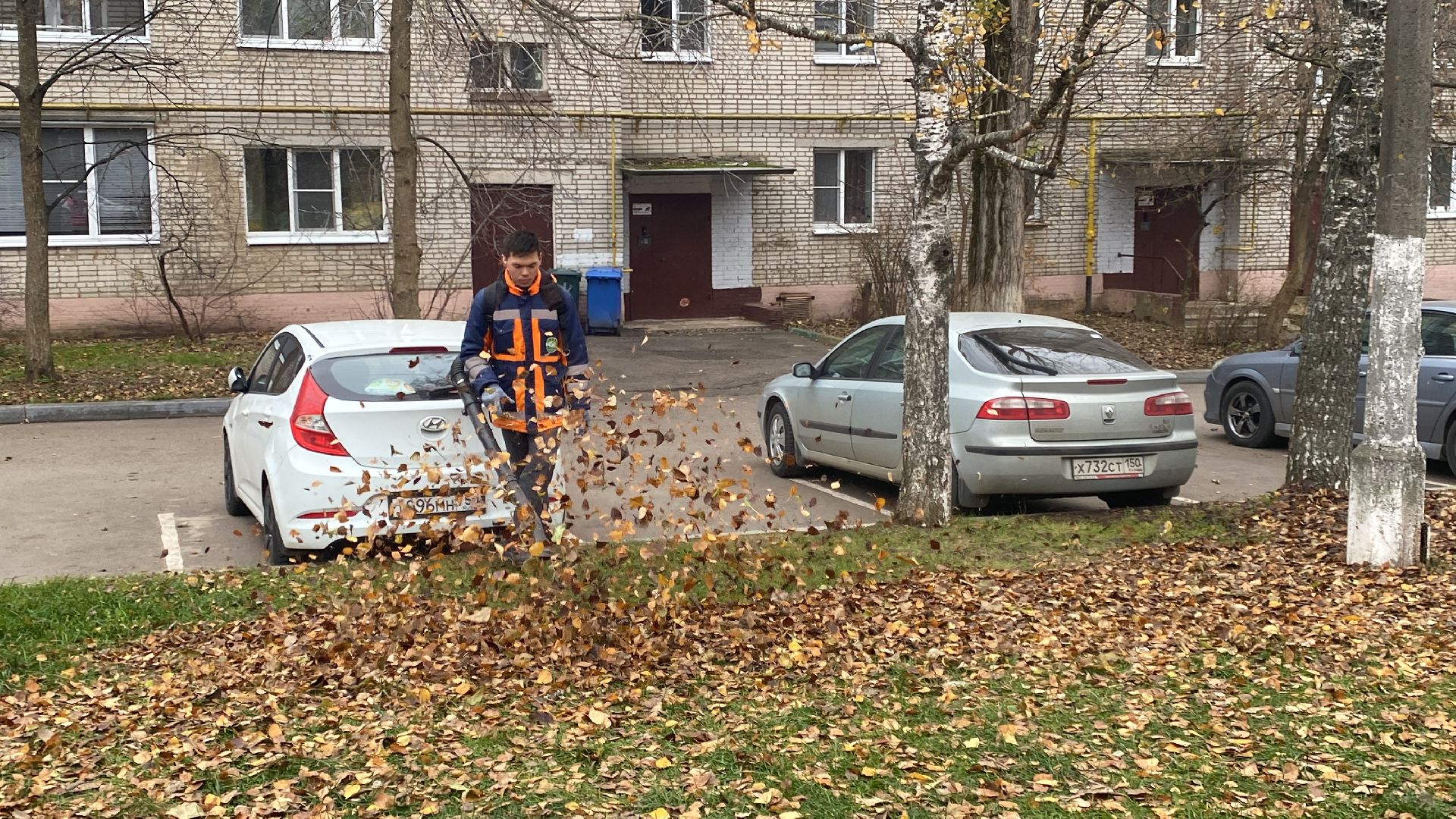 Листва, уборка двора, Уборка листьев, вертикалки,