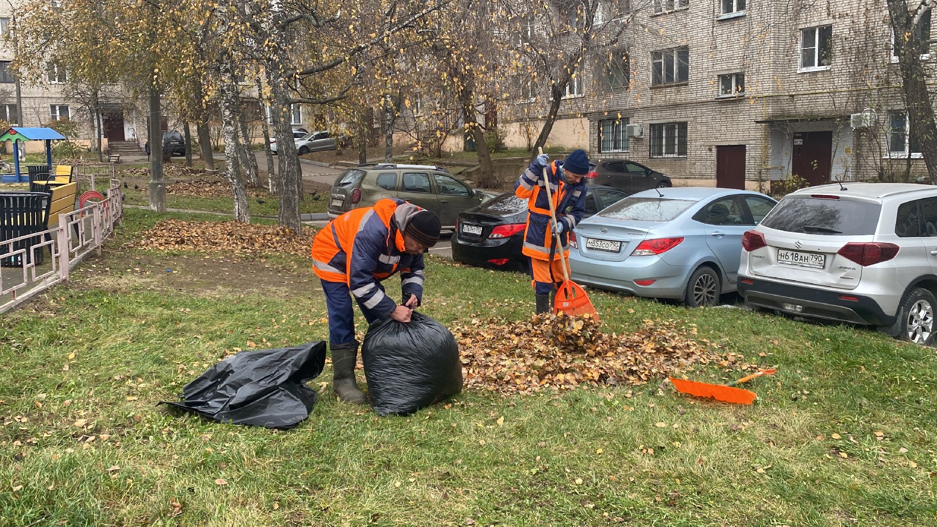 Листва, уборка двора, Уборка листьев, вертикалки,