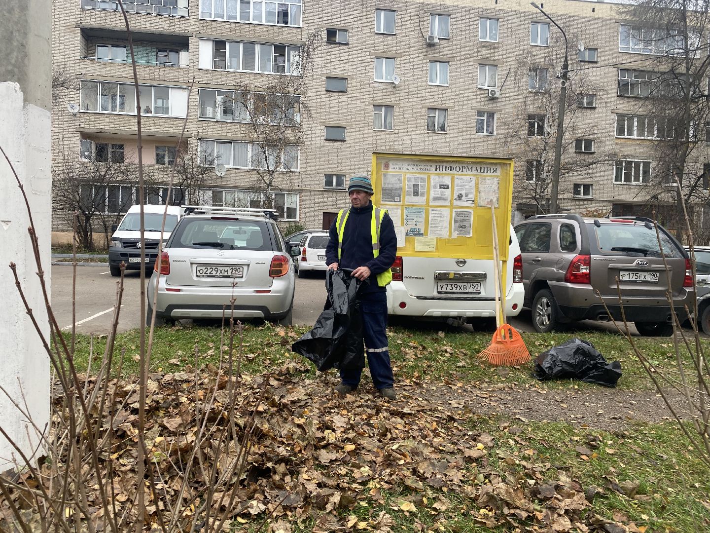 Листва, уборка двора, Уборка листьев, вертикалки,