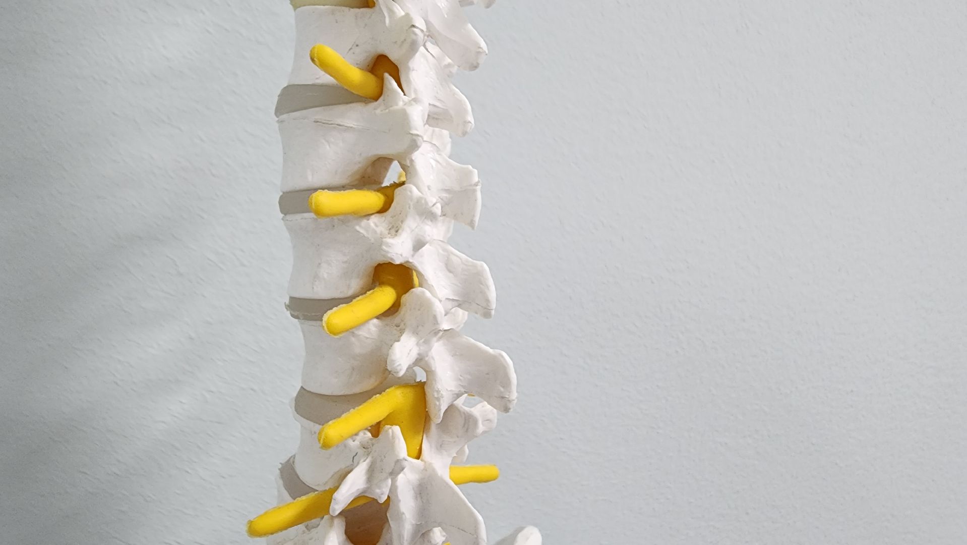 Солнечногорск, вертикалки, медицина, нейрохирургия,