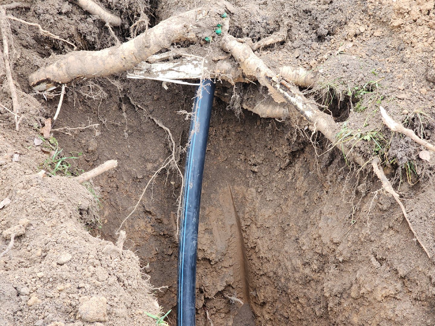 Каток, Зима, зима в рузе, Никольское, Руза, спорт, спорт в рузе, вертикалки,