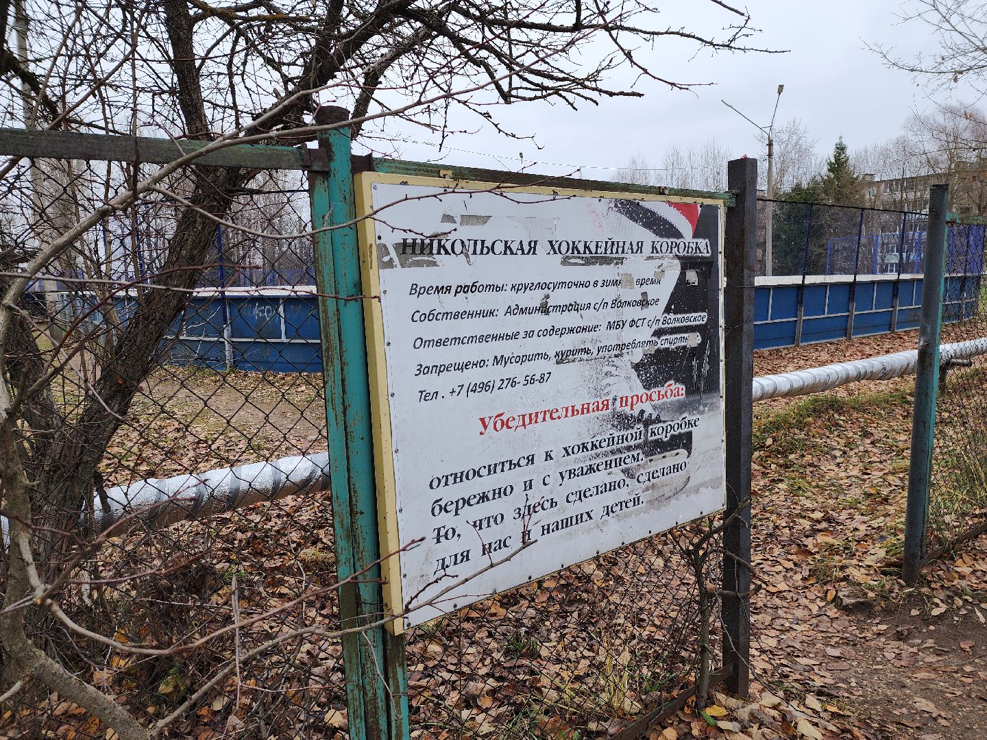 Каток, Зима, зима в рузе, Никольское, Руза, спорт, спорт в рузе, вертикалки,