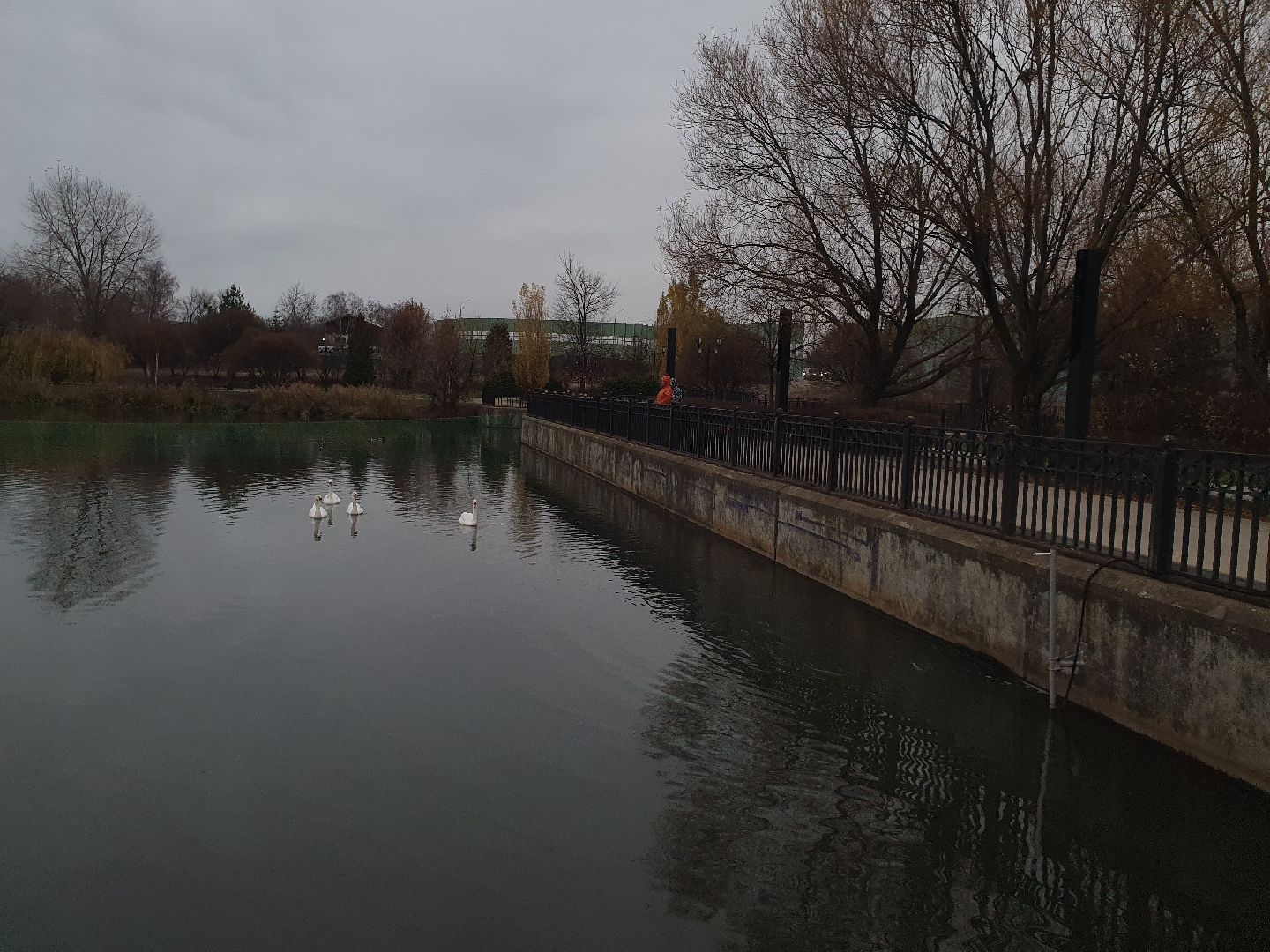 вертикалки, лебеди,