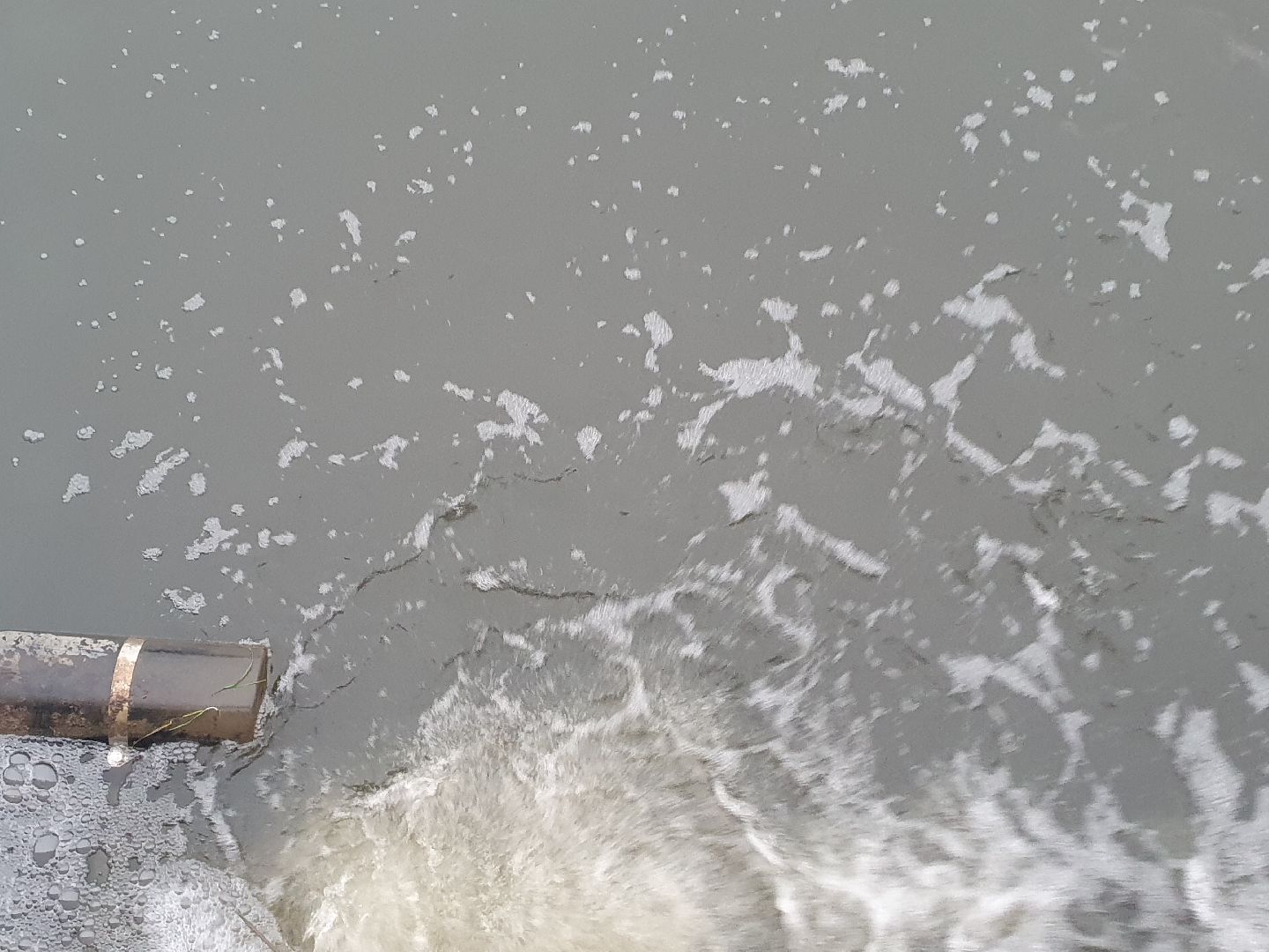 вертикалки, лебеди,