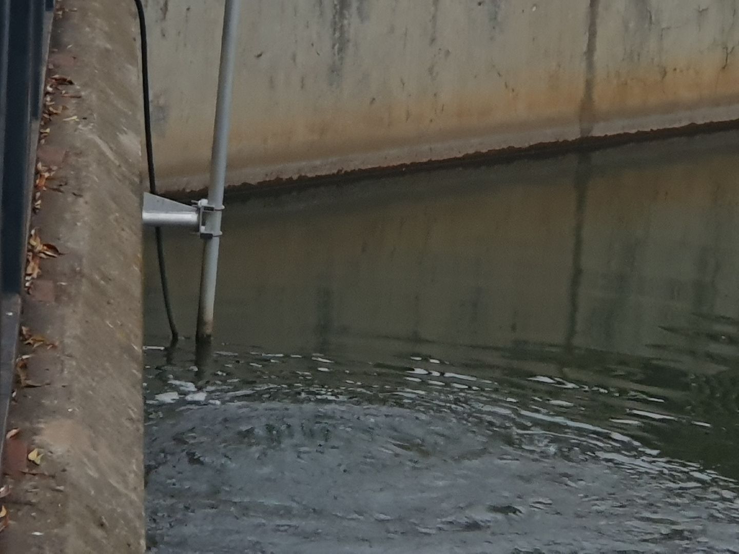 вертикалки, лебеди,