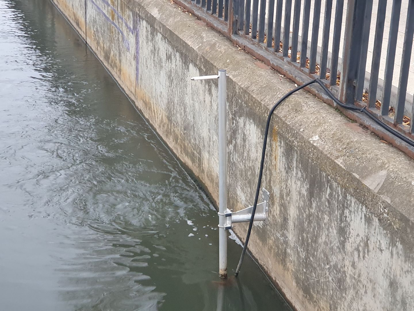 вертикалки, лебеди,