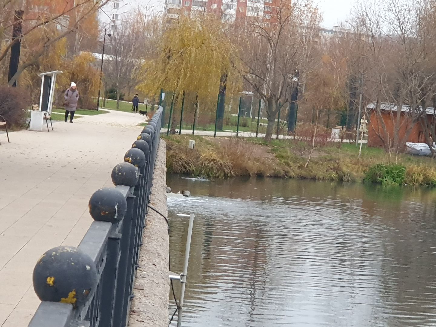 вертикалки, лебеди,