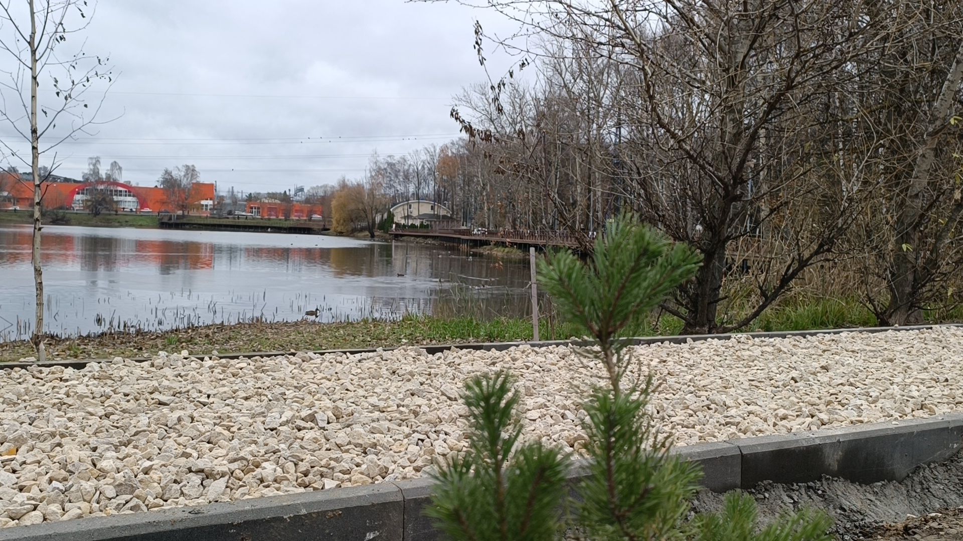 благоустройство, лобня, пешеходная дорожка, вертикалки,