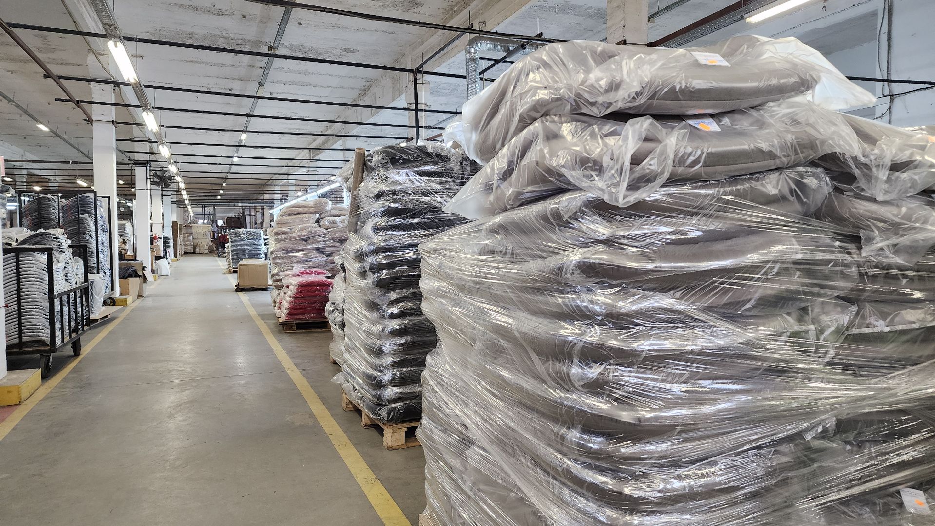 образование, билет в будущее, профориентация для школьников, Лосино-Петровский,