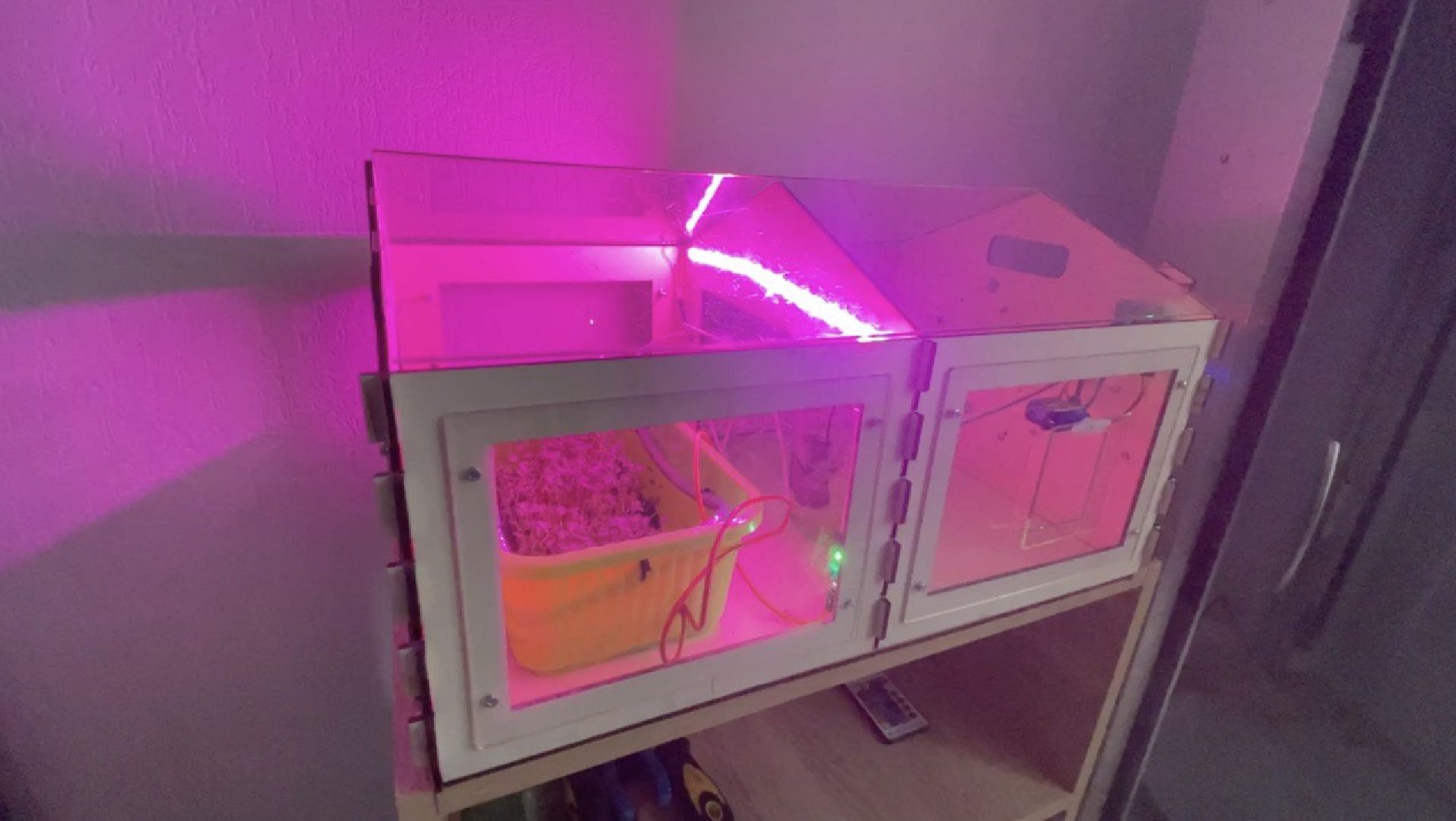 Одинцово, образование, роботы, робототехника,