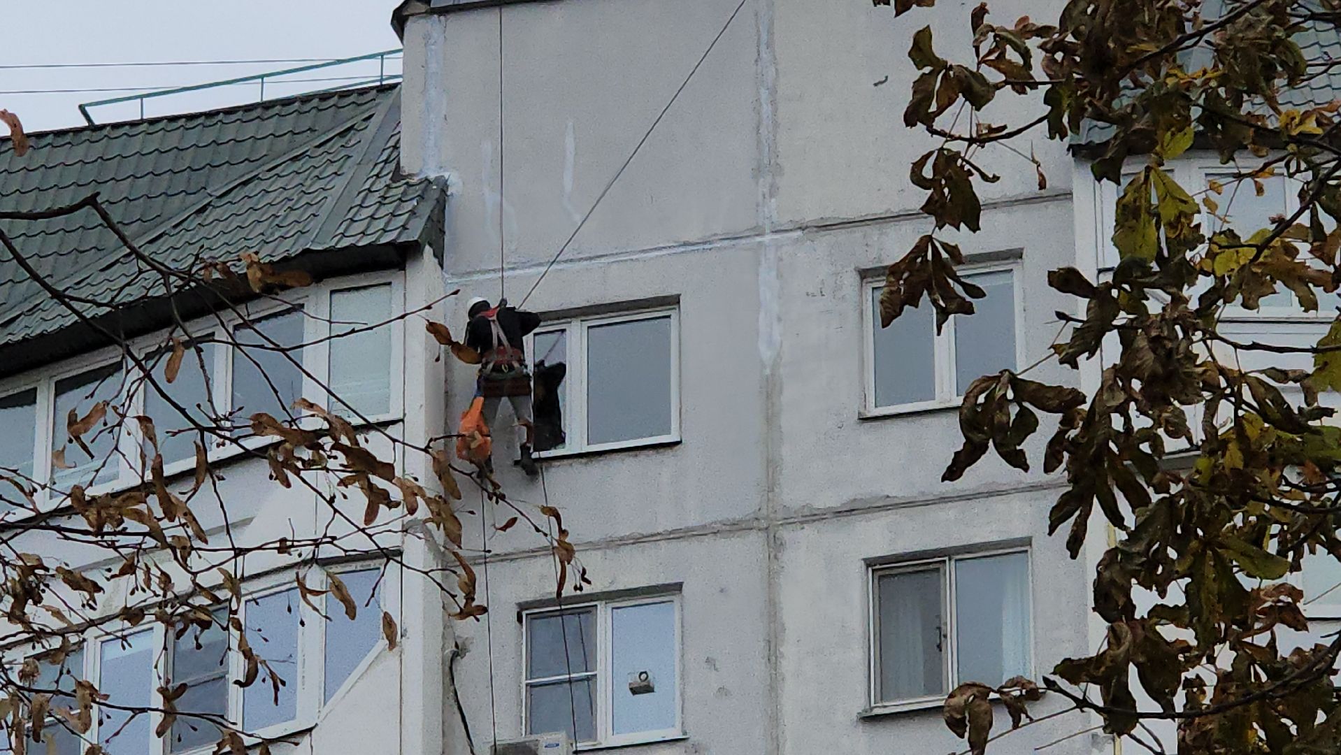 люберцы, управляющая компания, альпинисты, заявки жильцов, вертикалки,