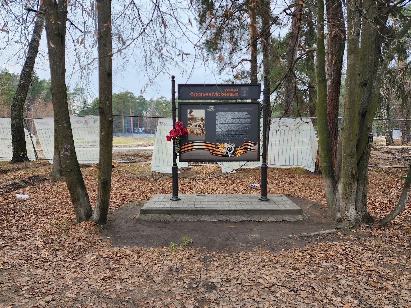 раменское, благоустройство, ильинский пруд,