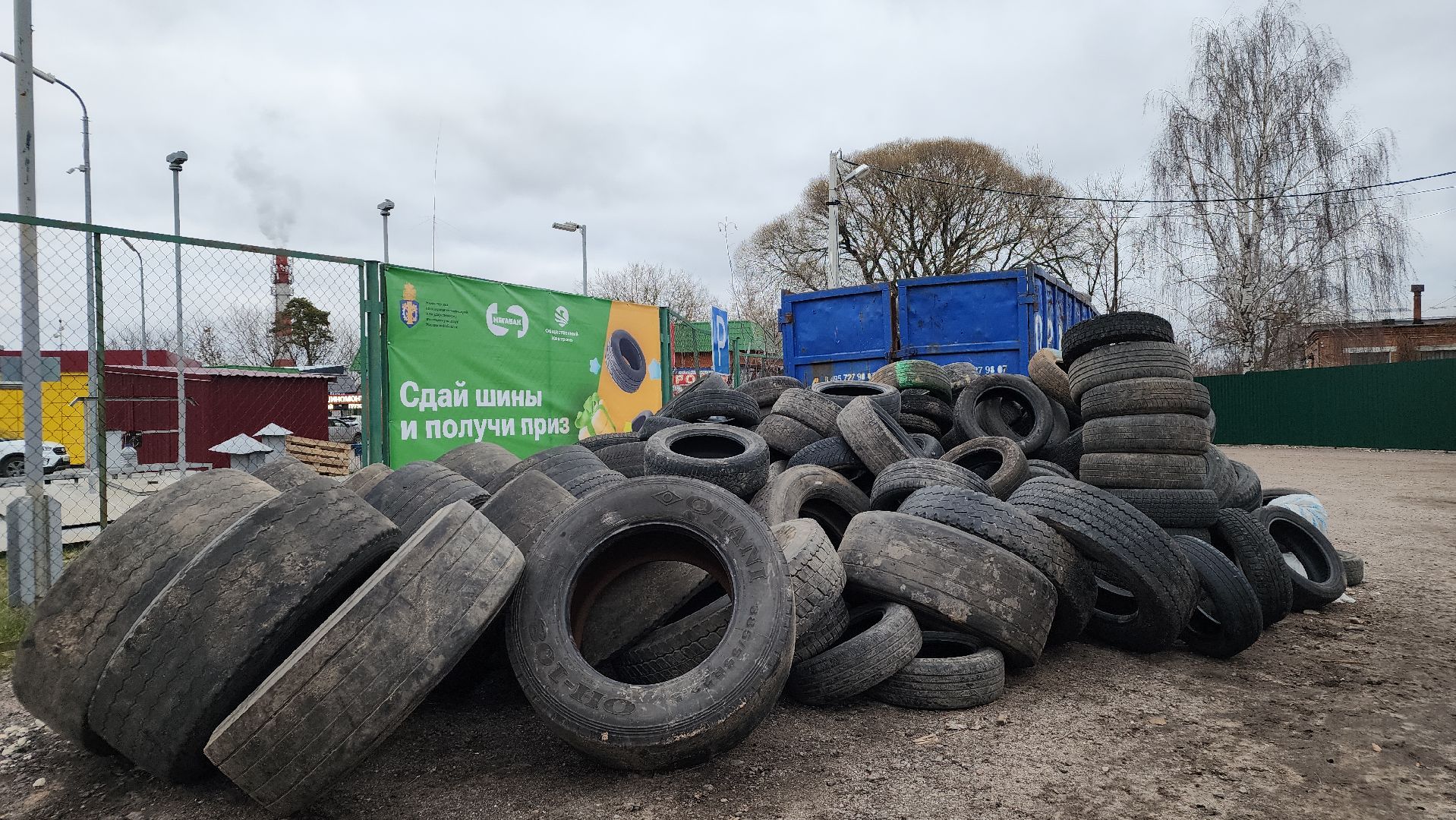 экология, экоакция, сдай шины,