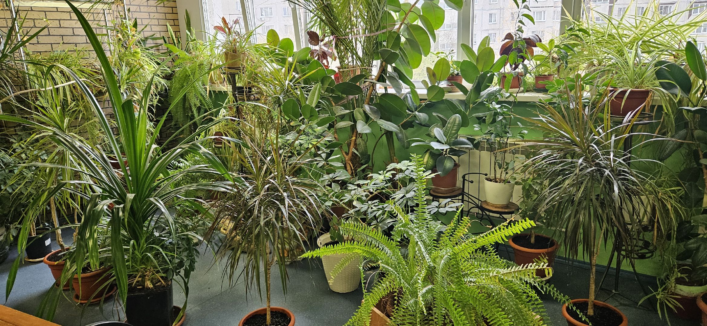 Образование, Лицей, Жуковский,