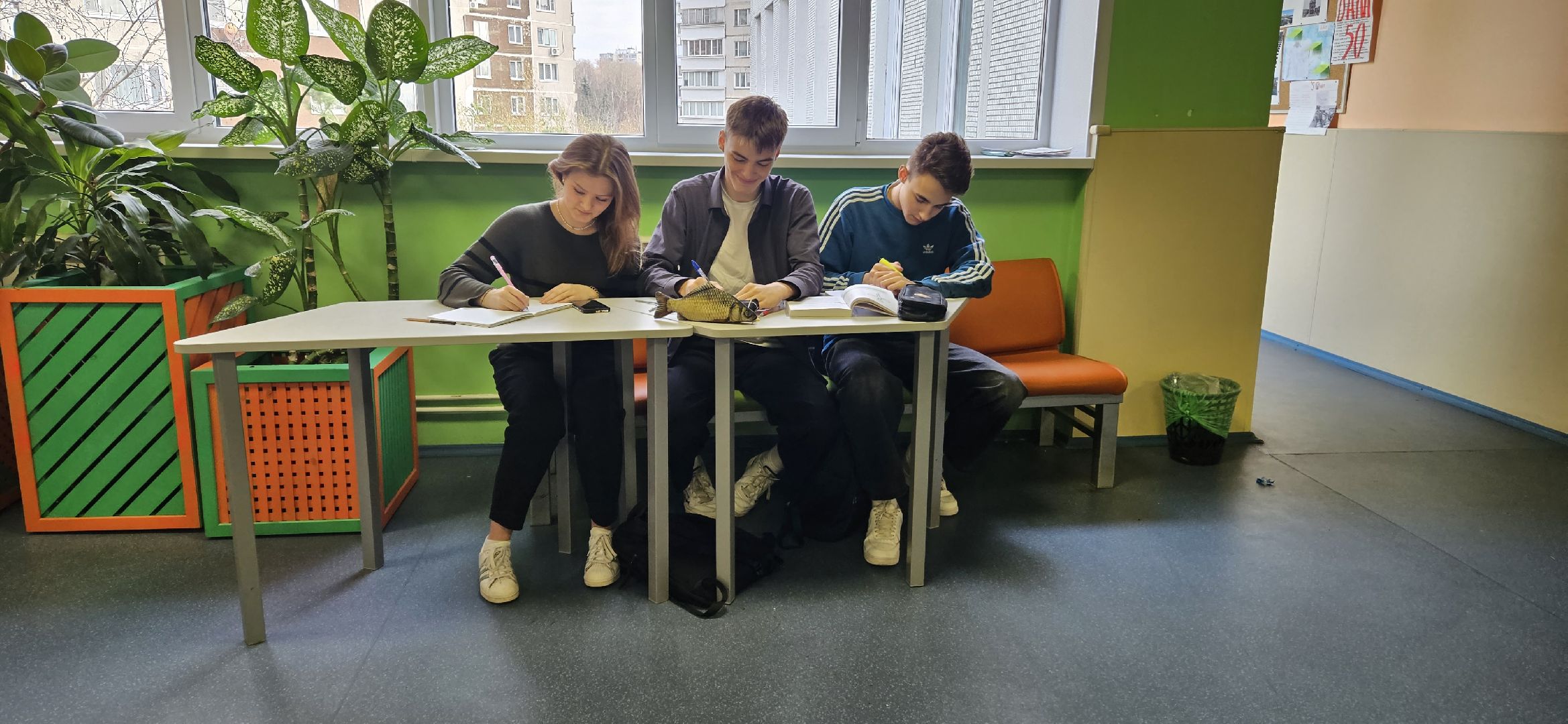 Образование, Лицей, Жуковский,