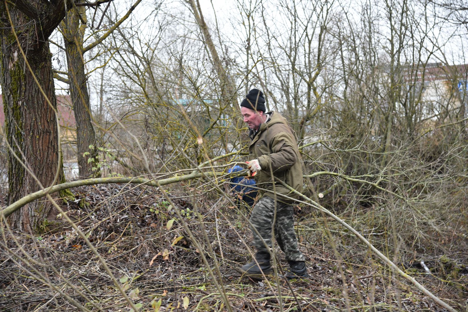 лотошино, калицино, населенный пункт воинской доблести, благоустройство, стела, вертикалки,