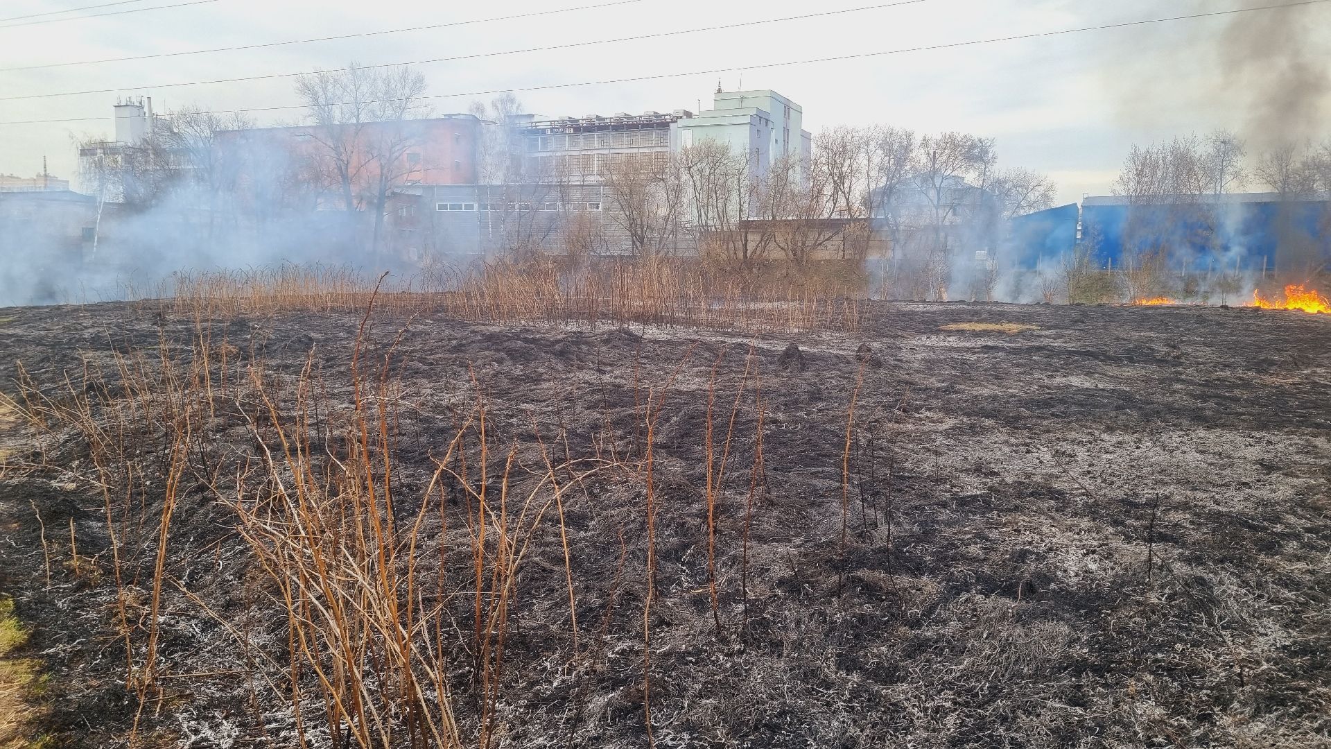 Подмосковье, Иванттеевка, МЧС