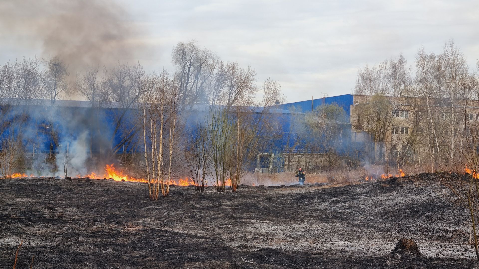 Подмосковье, Иванттеевка, МЧС