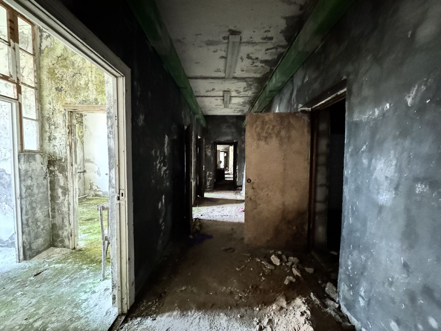 шаховская, бизнес, предприятие, общежитие для работников, вертикалки,