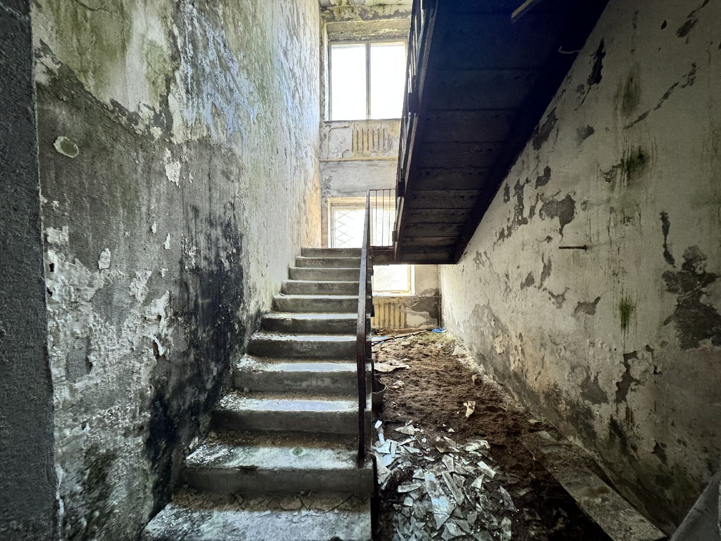 шаховская, бизнес, предприятие, общежитие для работников, вертикалки,