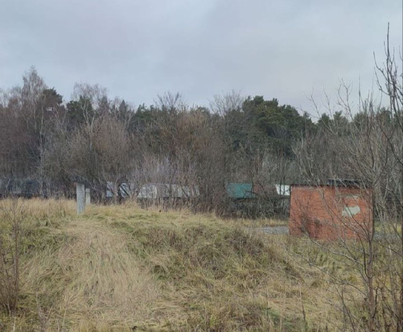 ногинск, жители, общество, власть, ямкино, выездная администрация, глава округа,