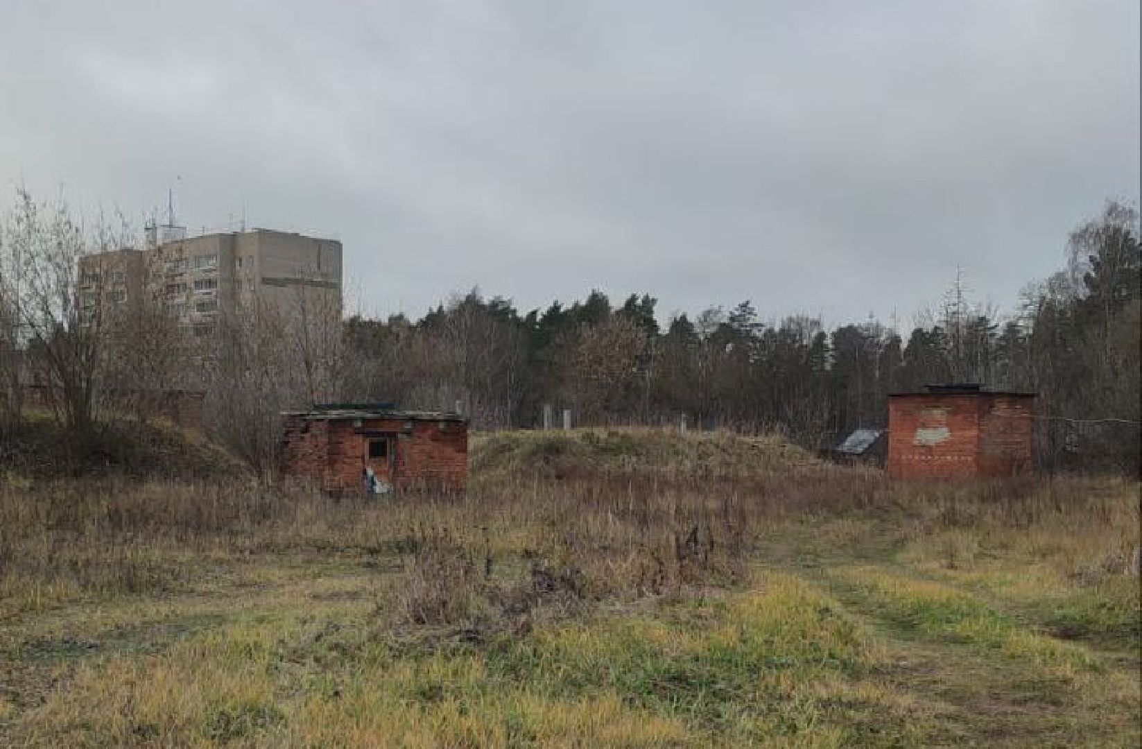 ногинск, жители, общество, власть, ямкино, выездная администрация, глава округа,