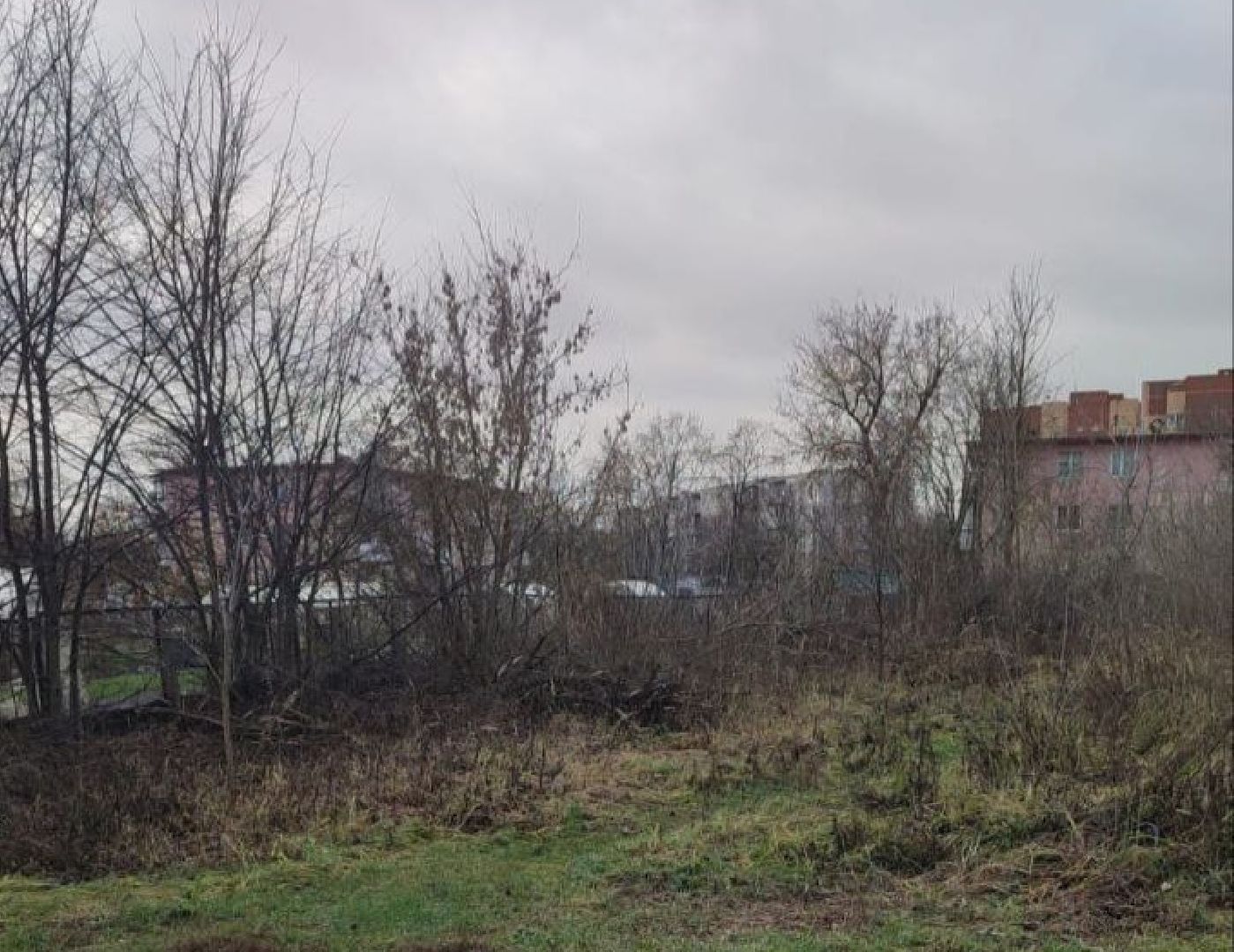 ногинск, жители, общество, власть, ямкино, выездная администрация, глава округа,