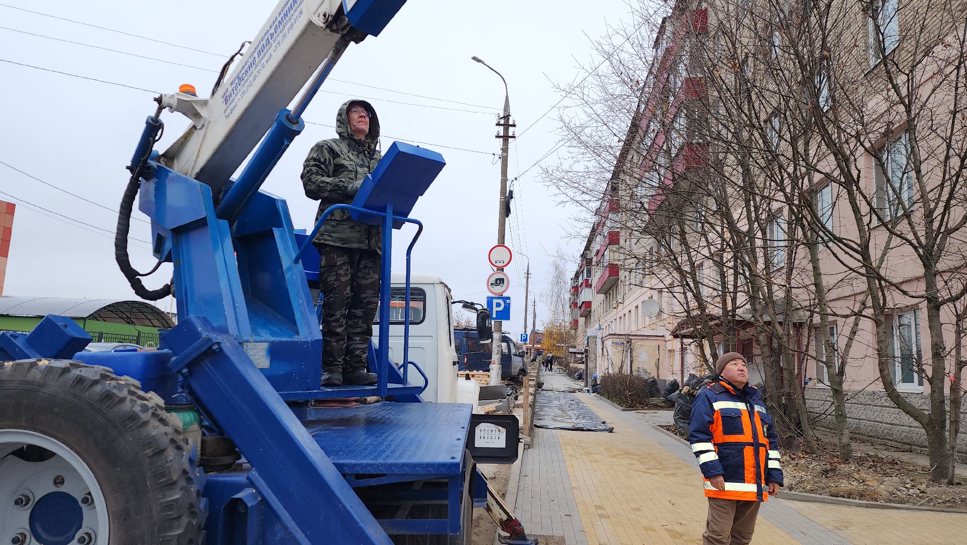 истра, благоустройство, вертикалки,