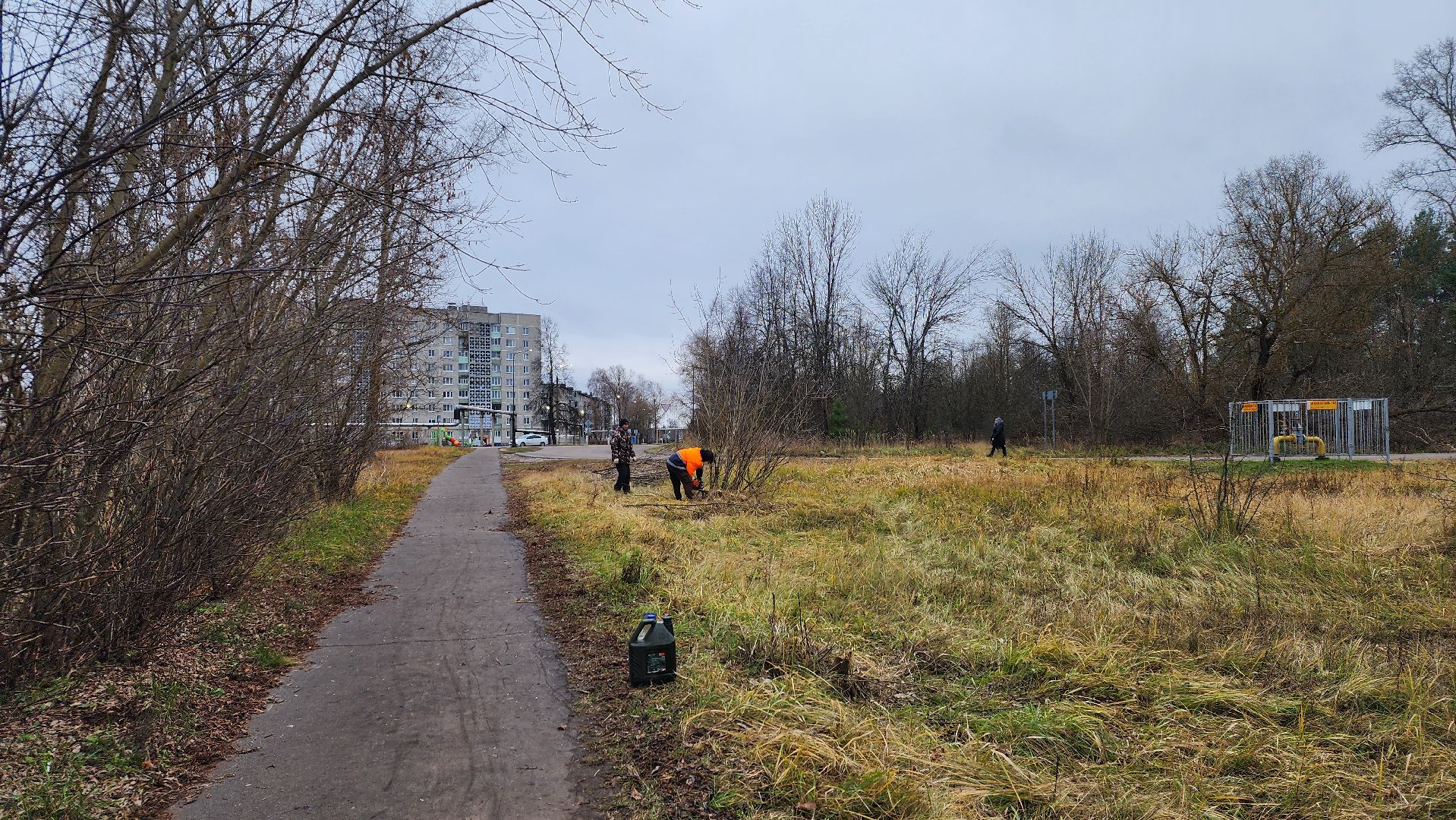благоустройство, служба благоустройства, Рошаль, Шатура, вертикалки
