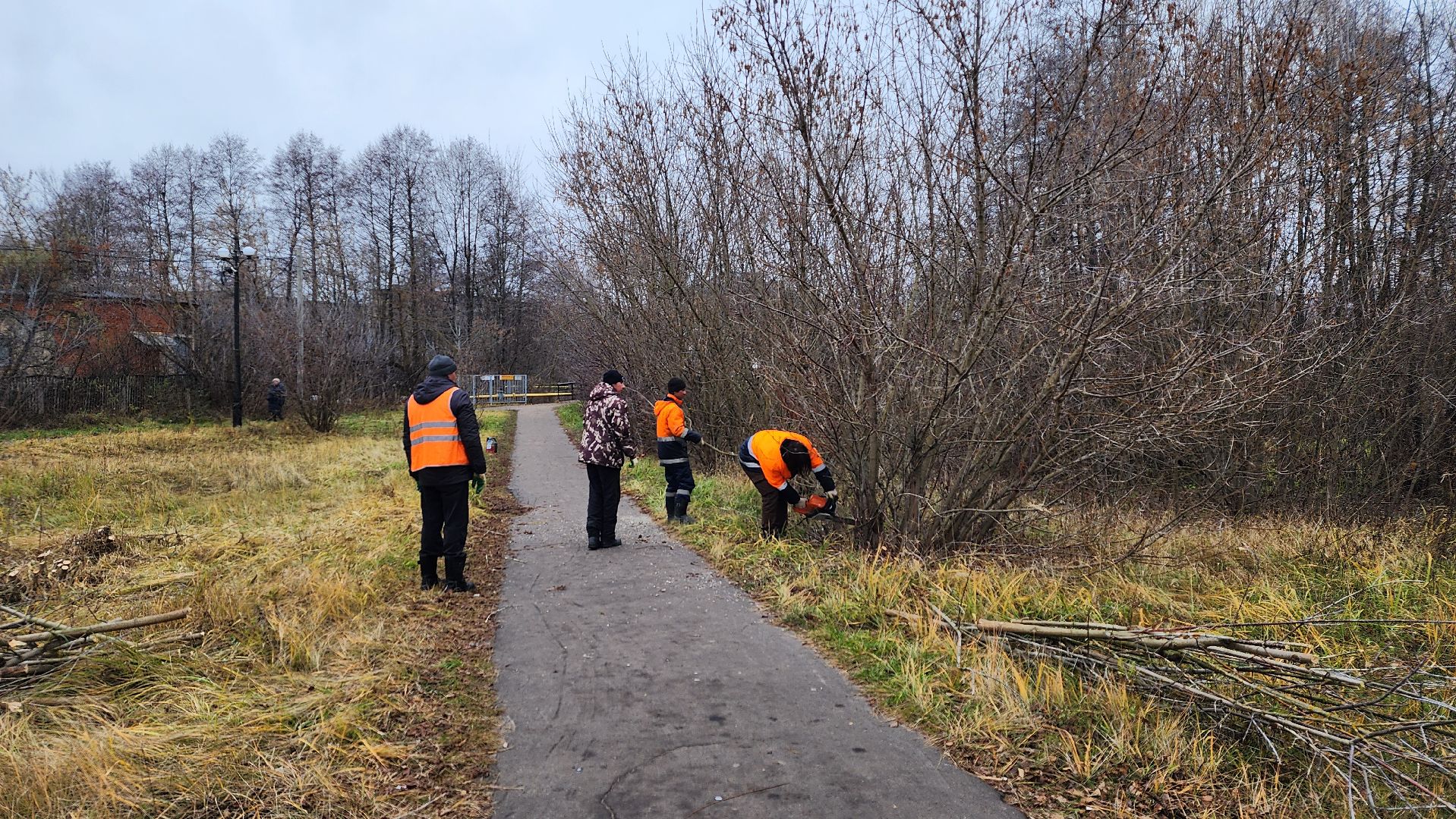 благоустройство, служба благоустройства, Рошаль, Шатура, вертикалки