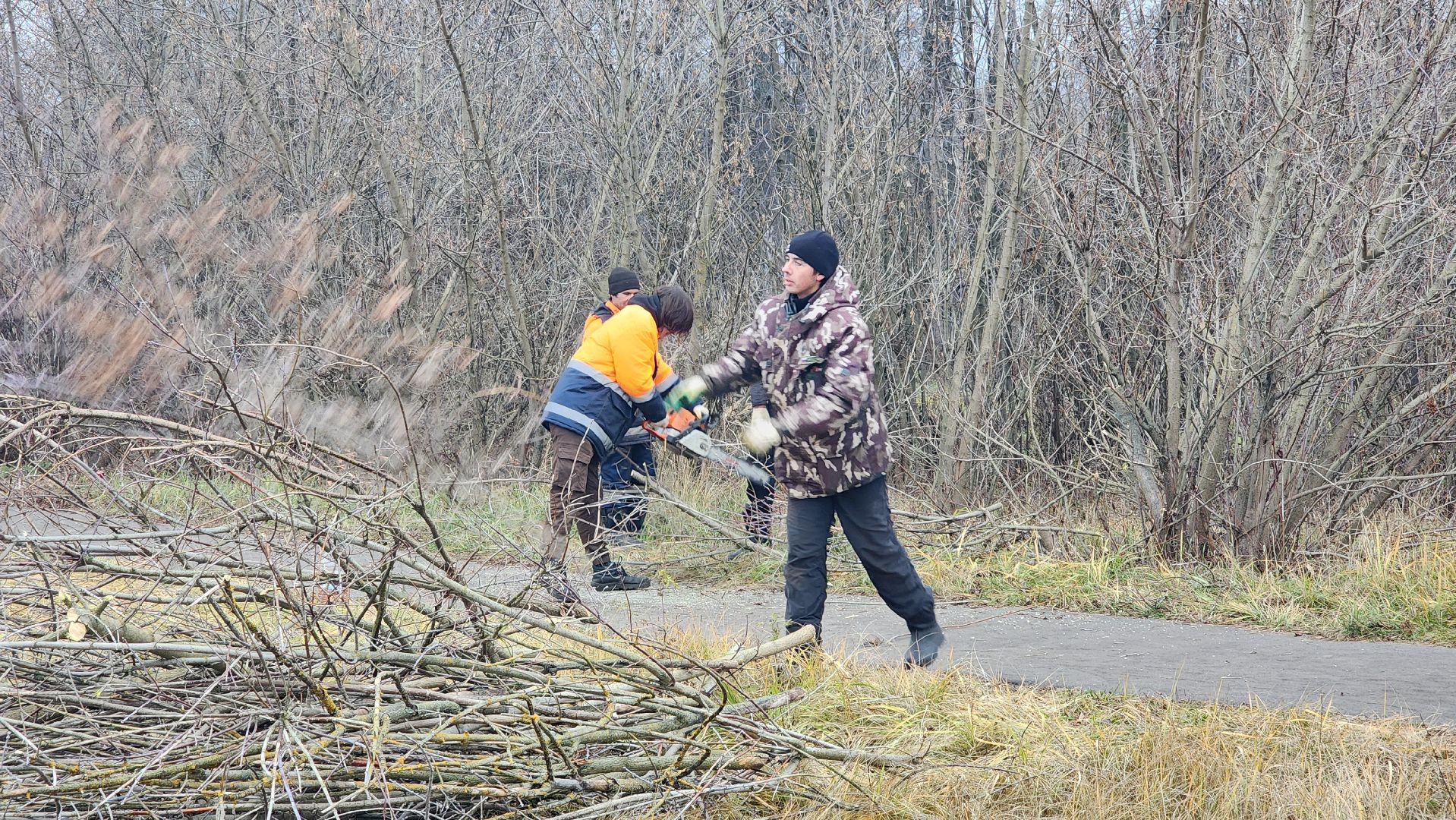благоустройство, служба благоустройства, Рошаль, Шатура, вертикалки