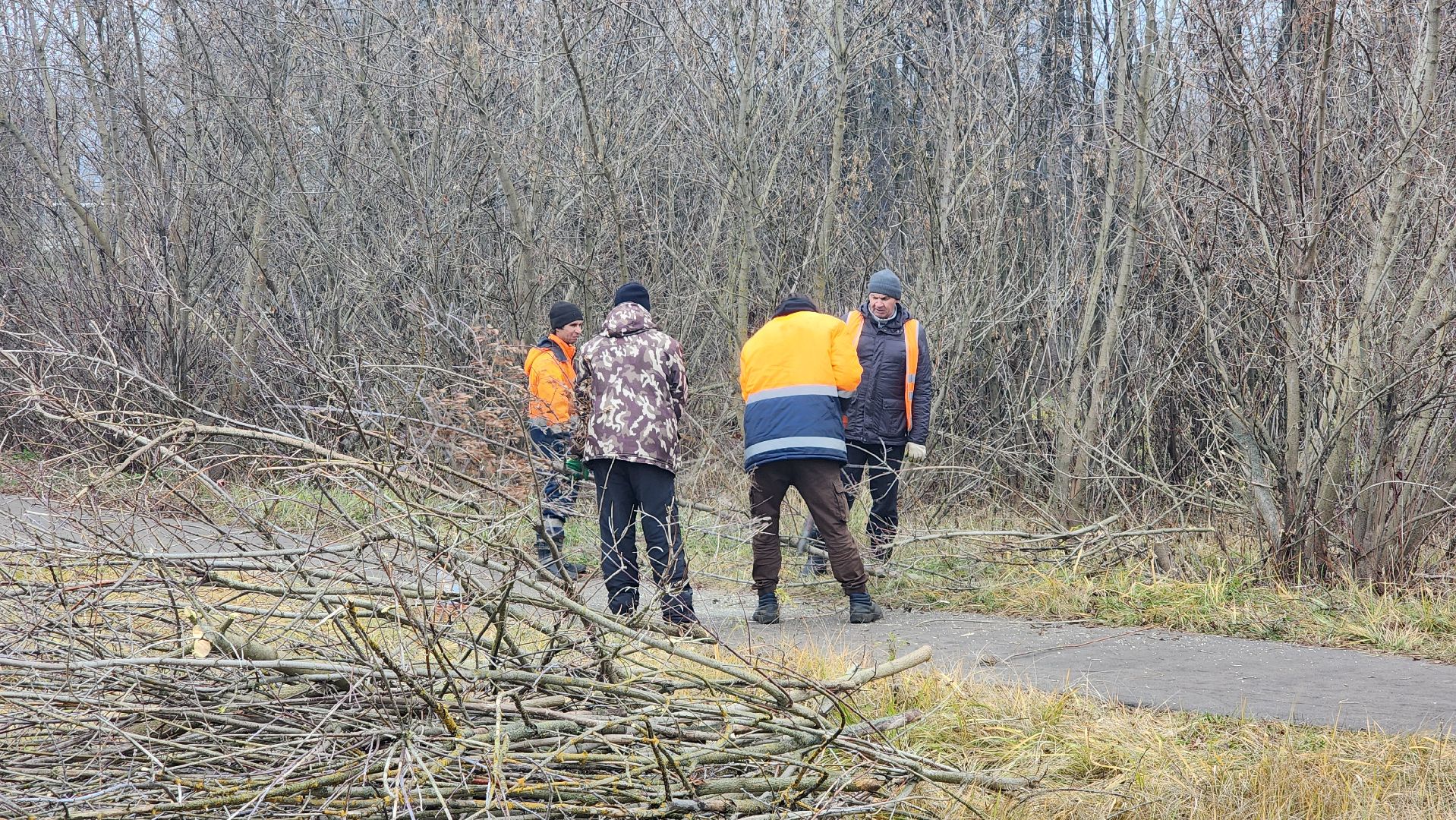благоустройство, служба благоустройства, Рошаль, Шатура, вертикалки