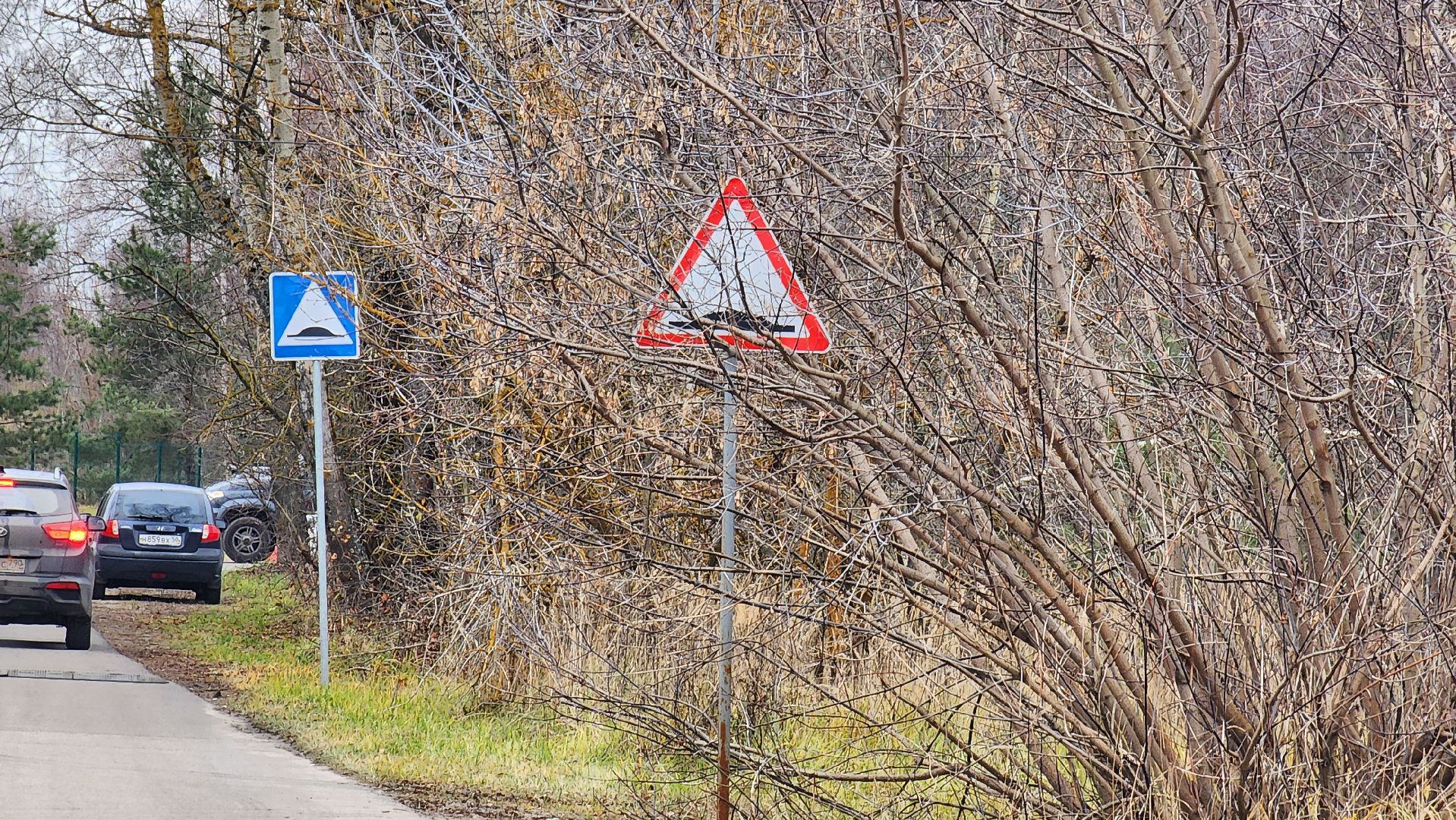 благоустройство, служба благоустройства, Рошаль, Шатура, вертикалки