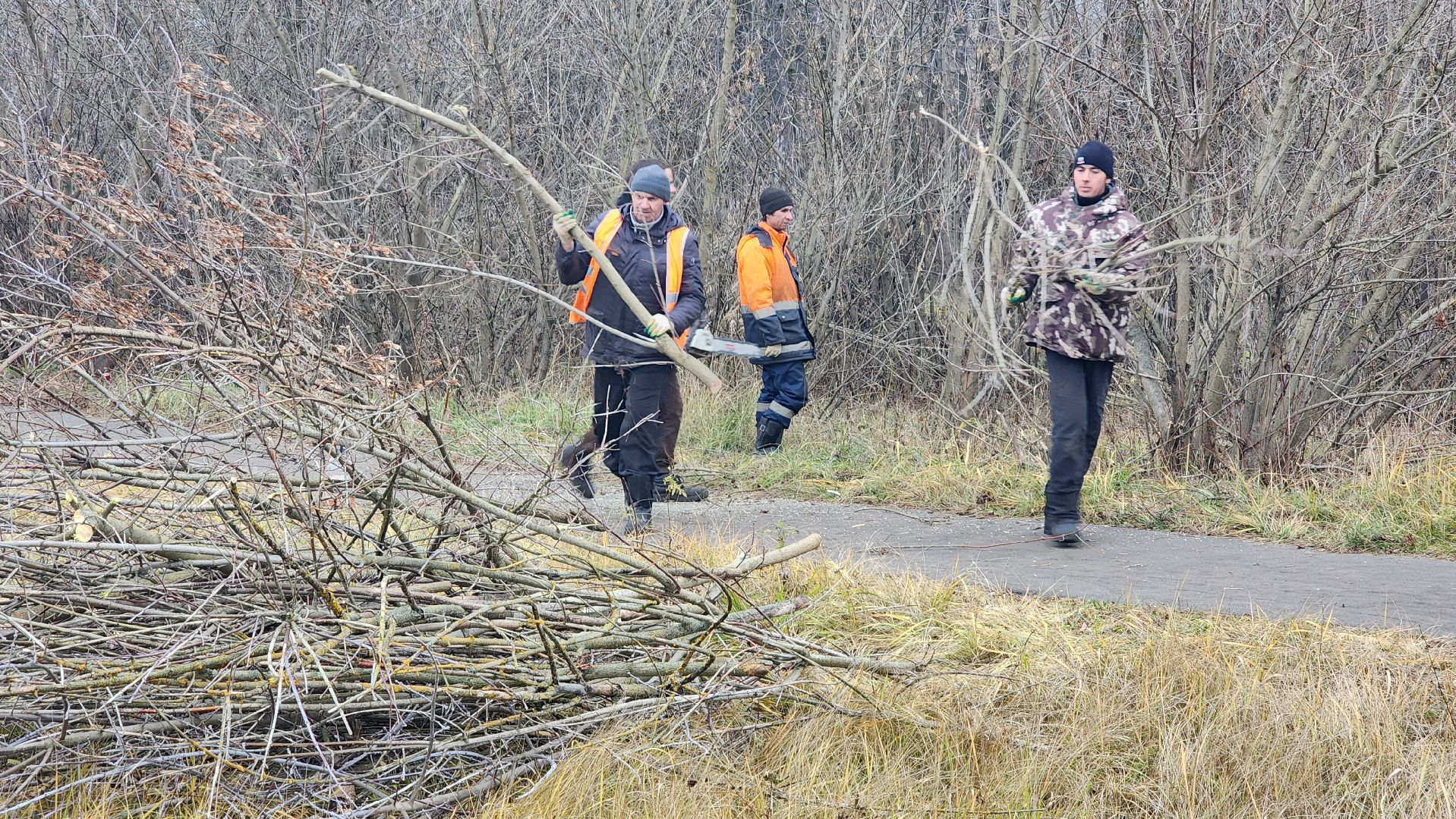 благоустройство, служба благоустройства, Рошаль, Шатура, вертикалки