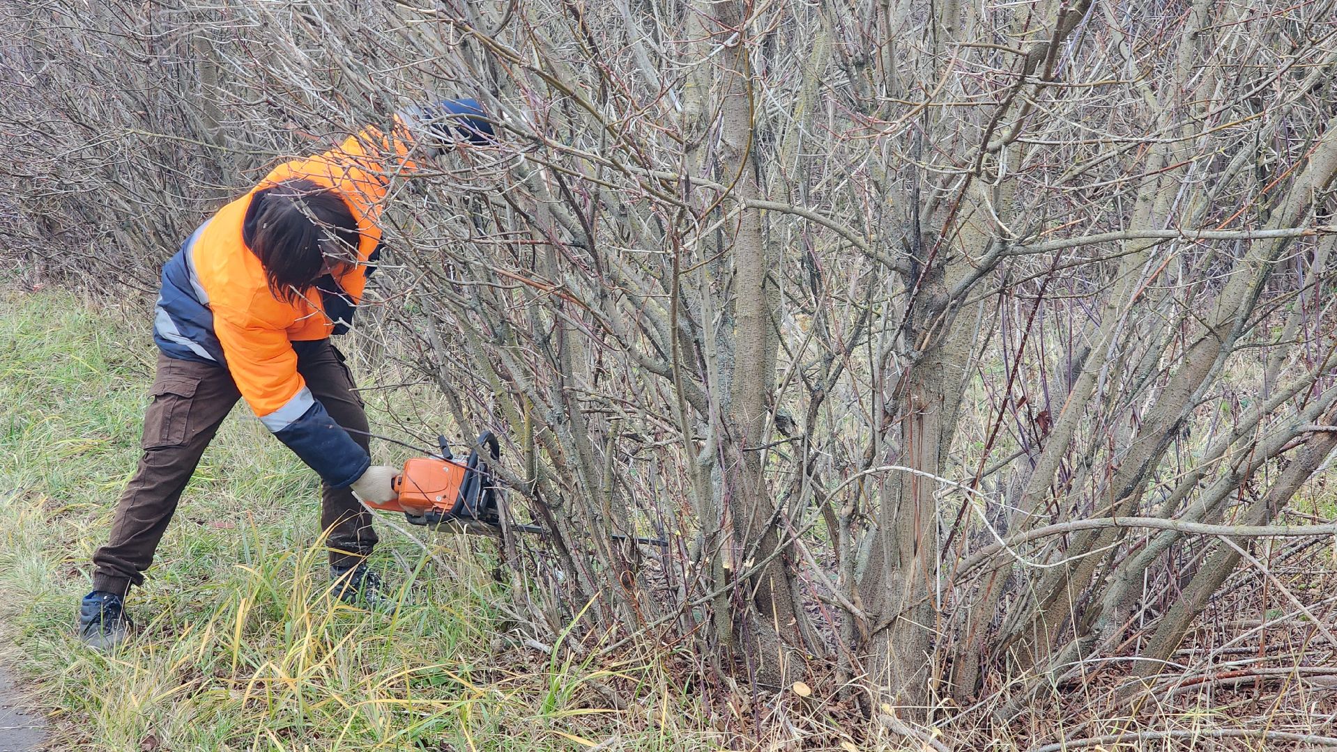 благоустройство, служба благоустройства, Рошаль, Шатура, вертикалки