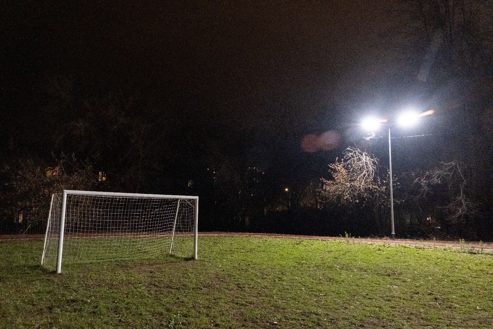 лыткарино, образование, школа, освещение, спорт,