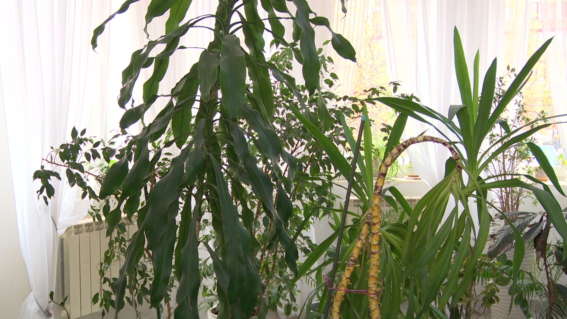 Реутов, вертикалки, благоустройство, конкурс, лучший подъезд, лучшие в подмосковье,