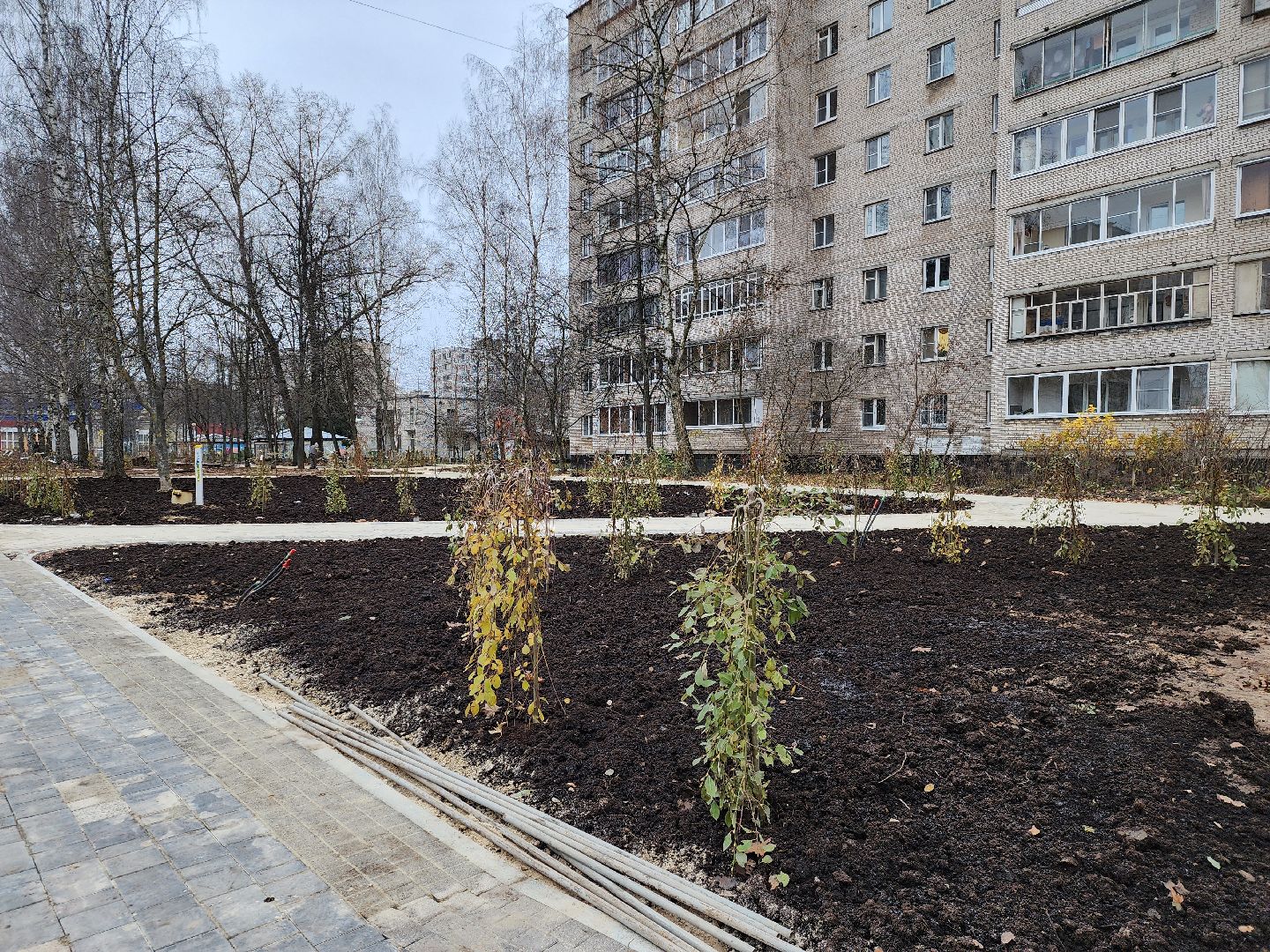 Дубна, Благоустройство, сквер журавлева, Земляные работы, вертикалки,