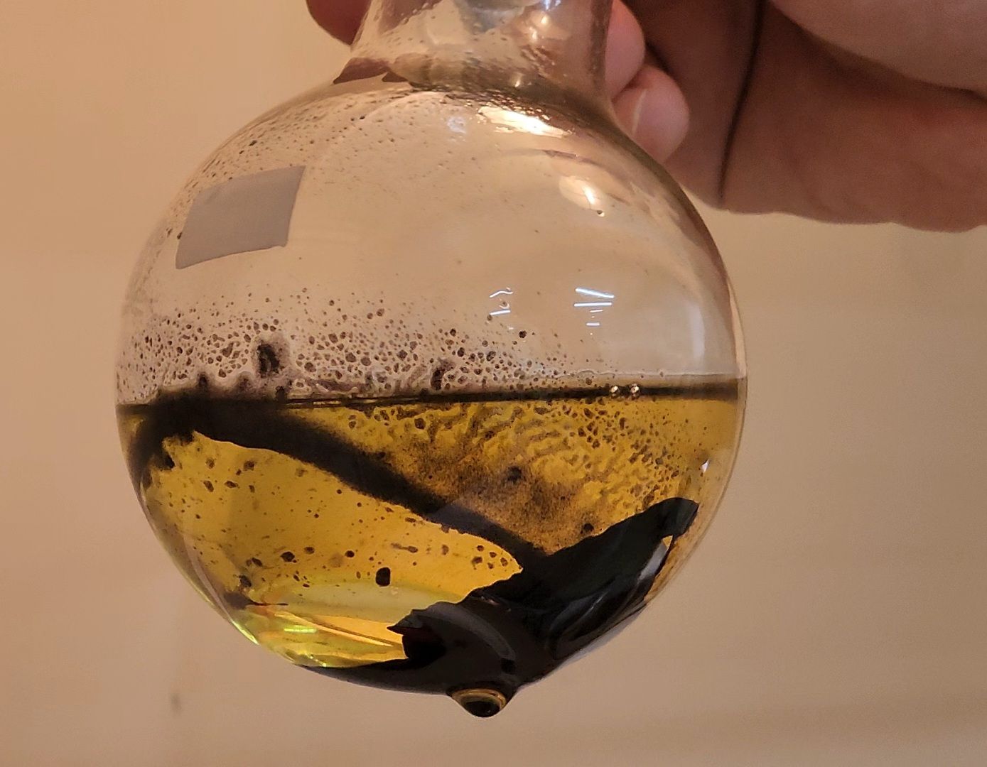 Дубна, университет дубна, Премия губернатора, наука,