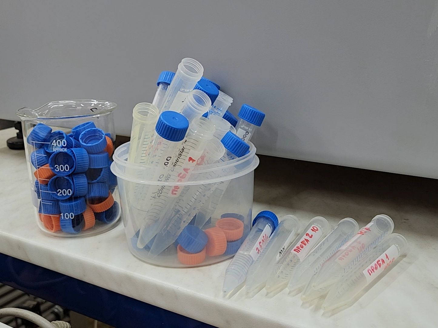 Дубна, университет дубна, Премия губернатора, наука,