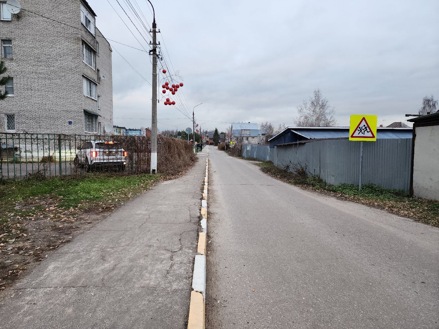 раменское, общество, выездная администрация, строкино, вертикалка,