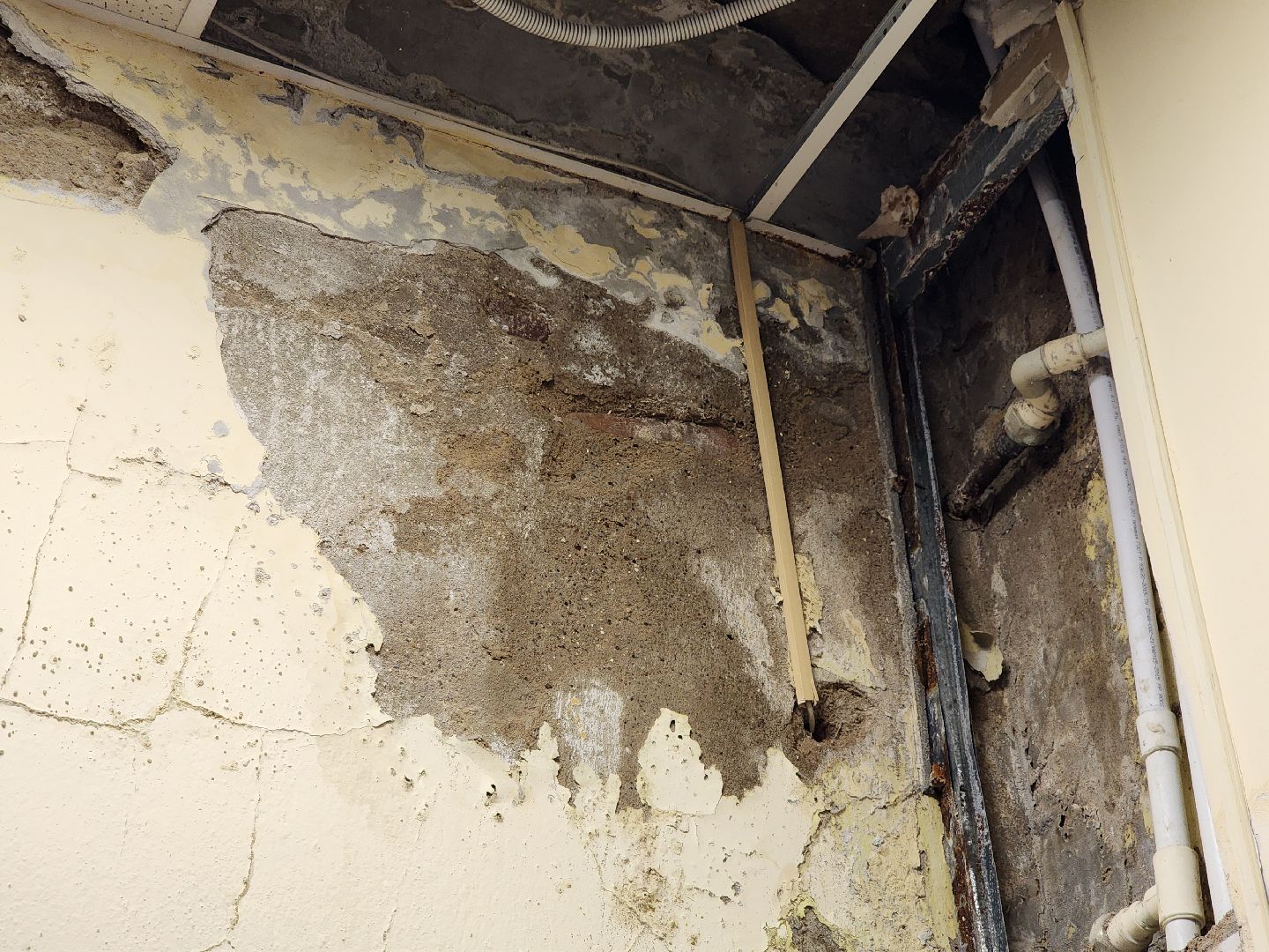 подольск, библиотека, Управляющая компания, прорыв трубы, Книги,