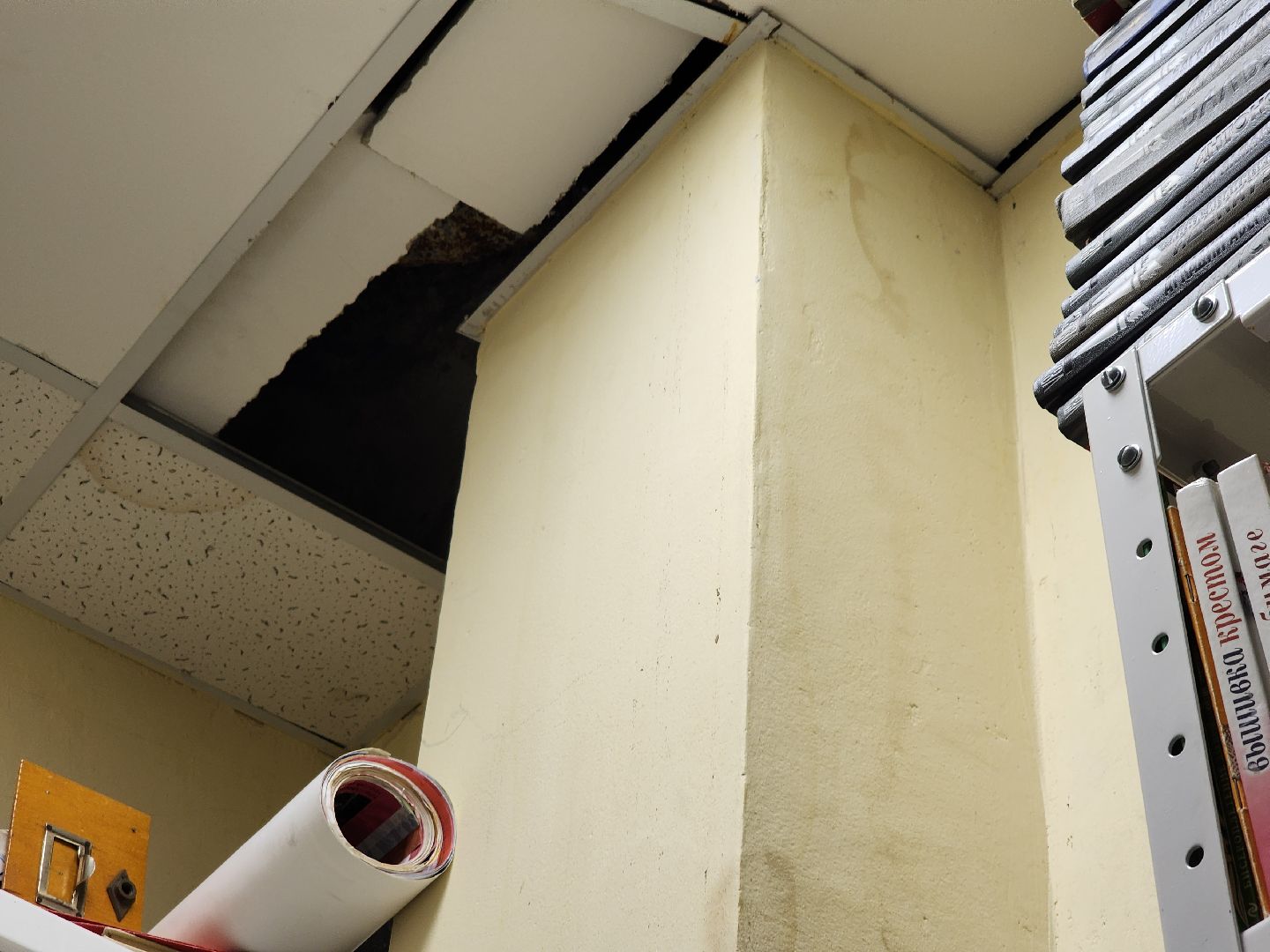 подольск, библиотека, Управляющая компания, прорыв трубы, Книги,