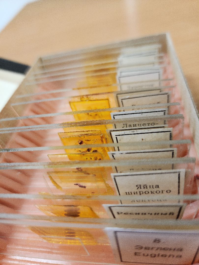 Луховицы, Образование, Точка роста деревне, вертикалка,