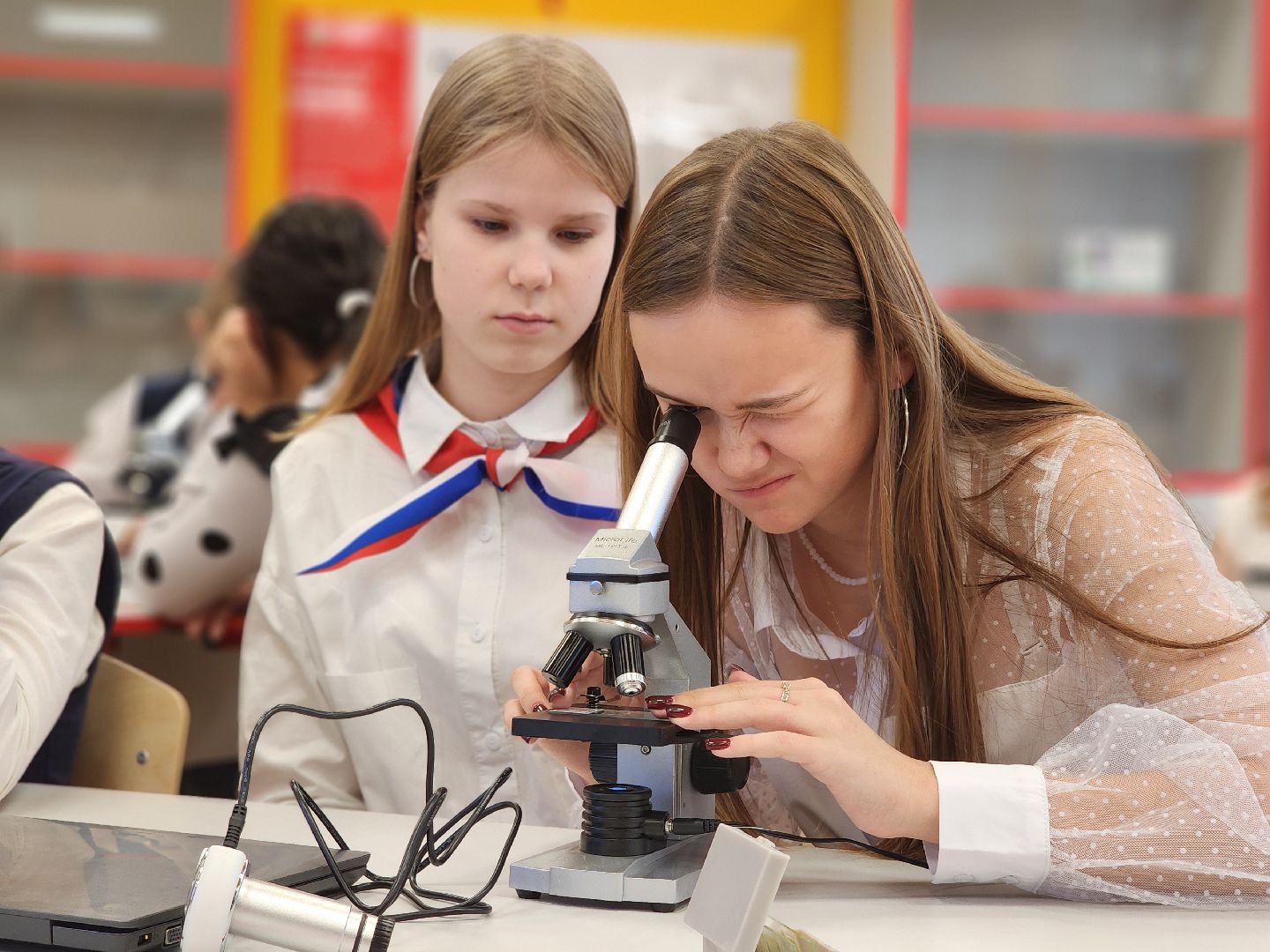 Луховицы, Образование, Точка роста деревне, вертикалка,