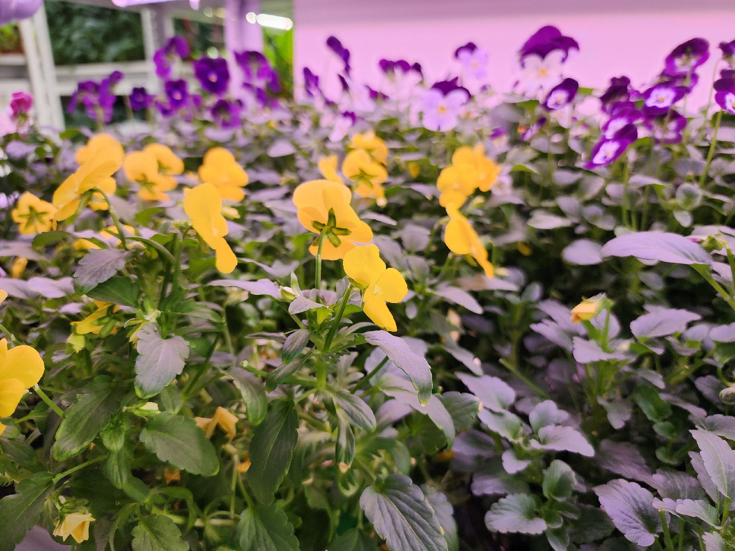 вертикали, малый бизнес, орехово зуево,вертикалка, вертикальное видео,