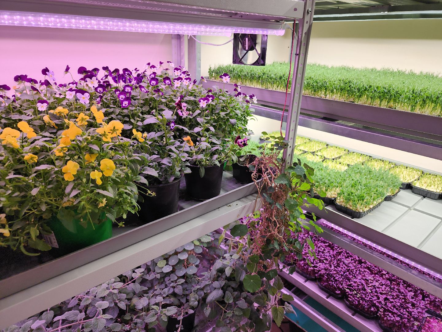 вертикали, малый бизнес, орехово зуево,вертикалка, вертикальное видео,